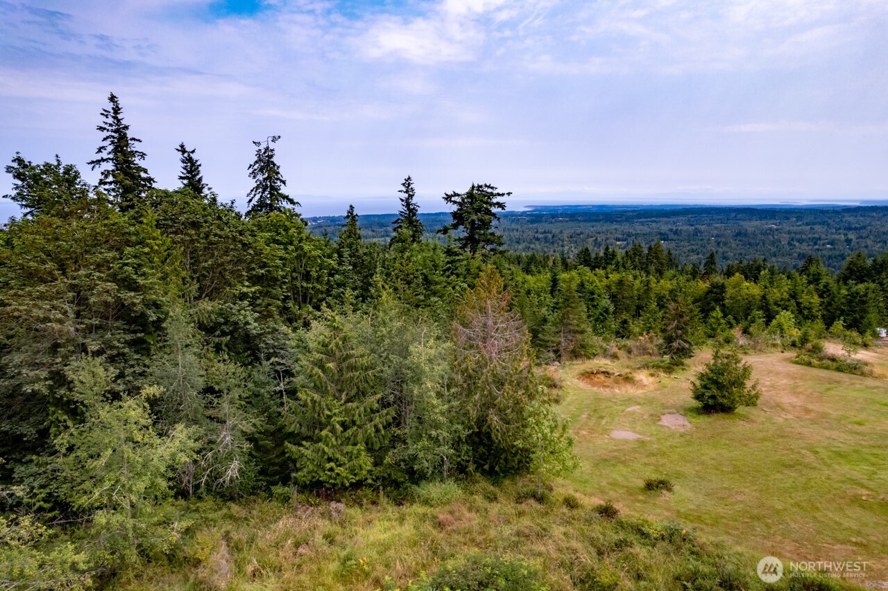 9999 Mt Pleasant Road Port Angeles, WA 98362 - Photo 4 of 27