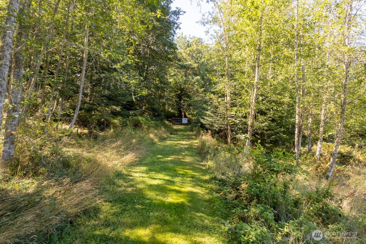 9999 Mt Pleasant Road Port Angeles, WA 98362 - Photo 9 of 27