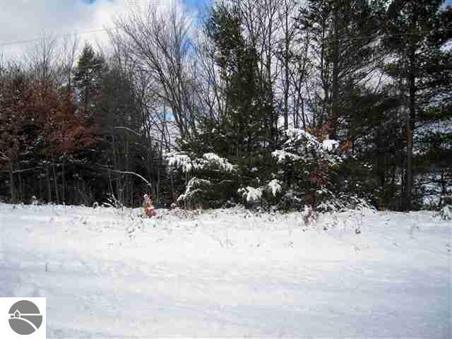 6402 Ingersoll Road Southwest Fife Lake, MI 49633 - Photo 14 of 24 1733609-13.JPG