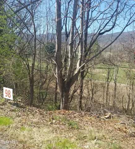 $34,900 | 98 Country Club Road, Unit 98, Unicoi, TN 37692