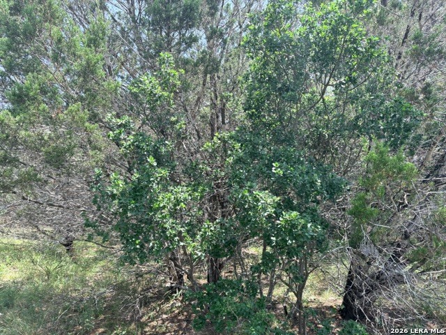 128 Coneflower Drive Spring Branch, TX 78070 - Photo 5 of 27