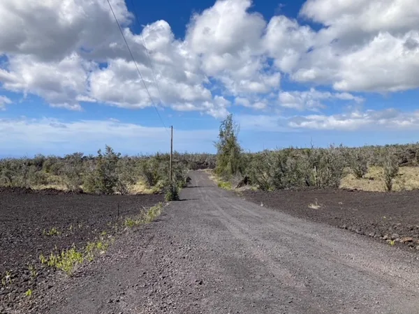 a view of a dry yard with trees