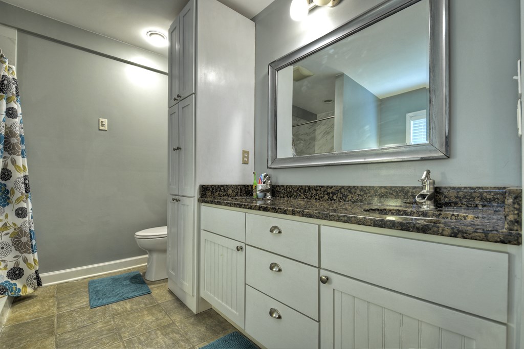 10266 Boardtown Road Cherry Log, GA 30522 - Photo 22 of 40 a bathroom with a granite countertop toilet sink and mirror