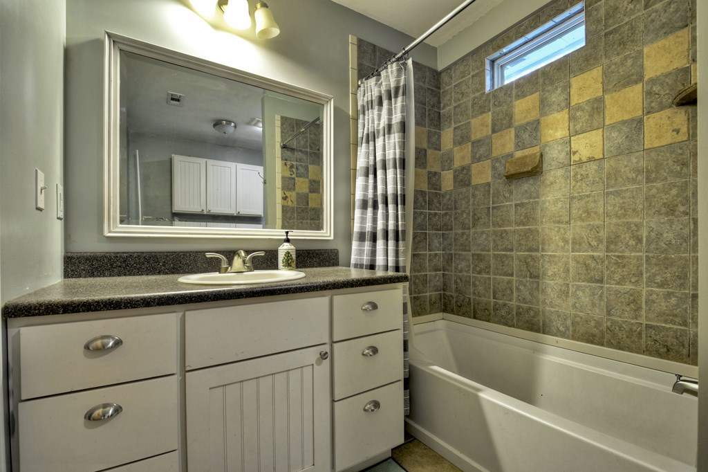 10266 Boardtown Road Cherry Log, GA 30522 - Photo 24 of 40 a bathroom with a granite countertop sink mirror and bathtub