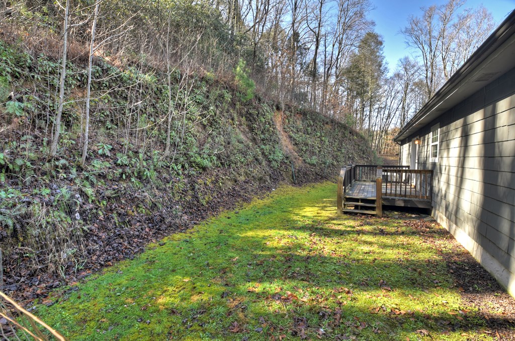 10266 Boardtown Road Cherry Log, GA 30522 - Photo 38 of 40 a view of a back yard of the house