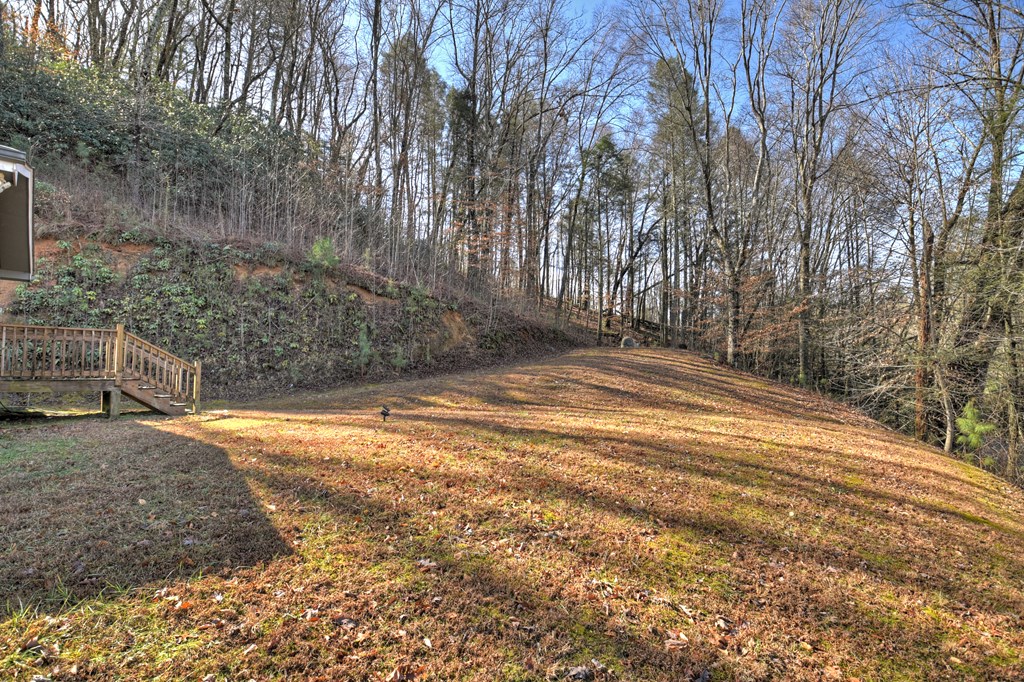 10266 Boardtown Road Cherry Log, GA 30522 - Photo 39 of 40 a view of backyard with large trees