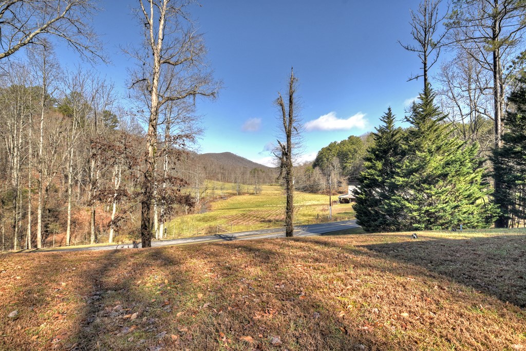 10266 Boardtown Road Cherry Log, GA 30522 - Photo 40 of 40 a view of an outdoor space