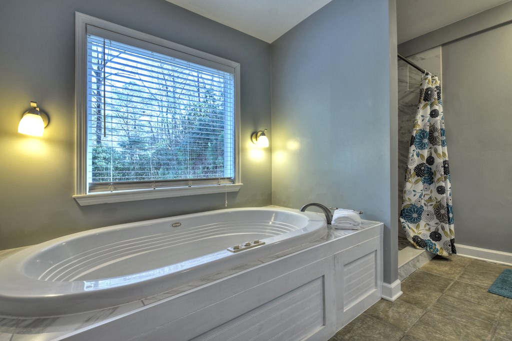 10266 Boardtown Road Cherry Log, GA 30522 - Photo 9 of 40 a bathroom with a bathtub and shower