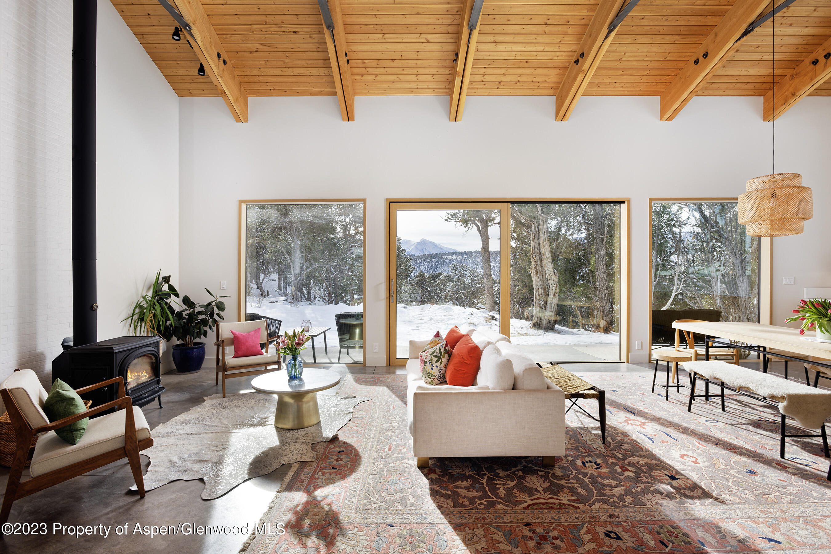 89 Sage Swale Road Carbondale, CO 81623 - Photo 2 of 23 a living room filled with furniture and a potted plant