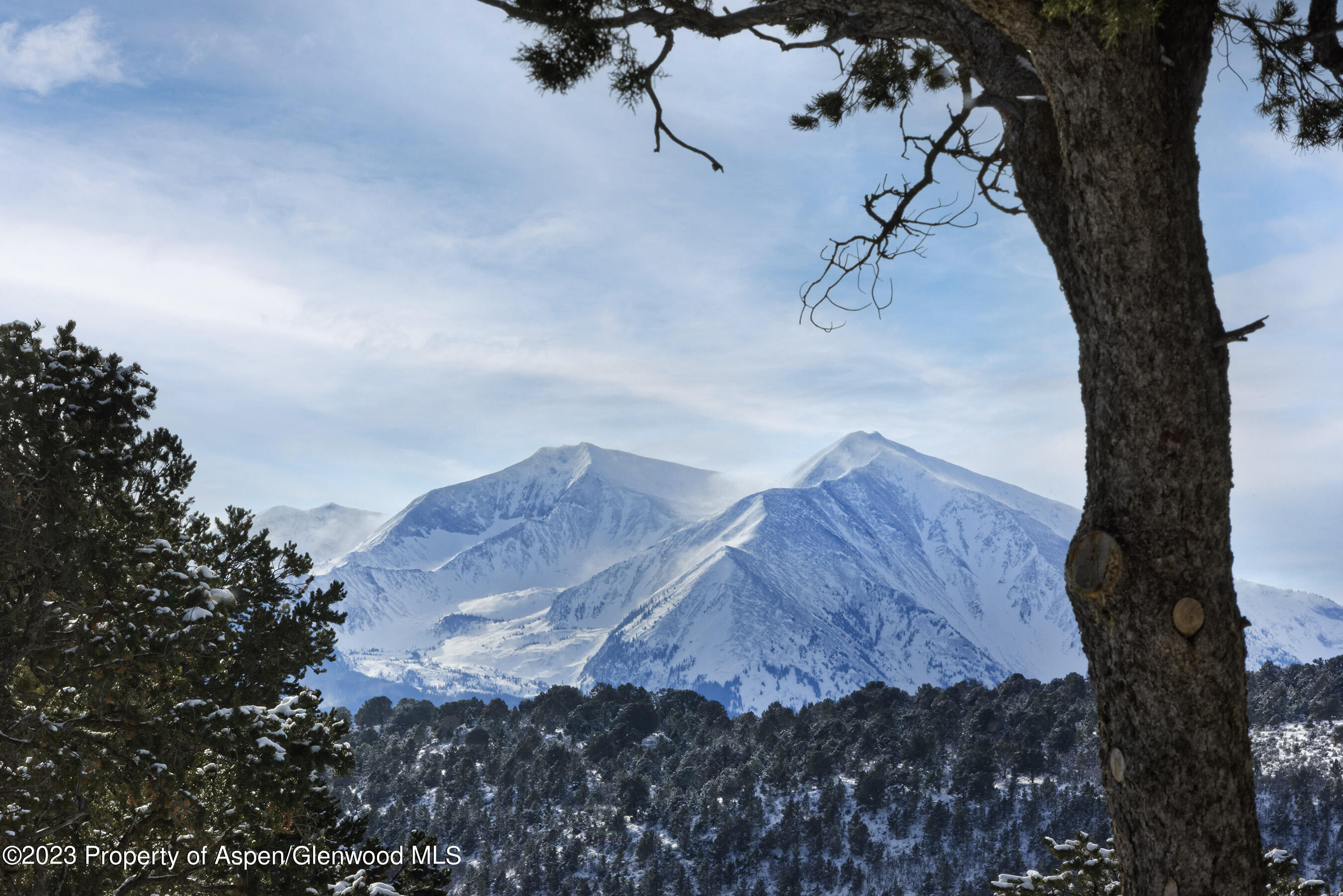 89 Sage Swale Road Carbondale, CO 81623 - Photo 3 of 23 a view of a backyard of a house