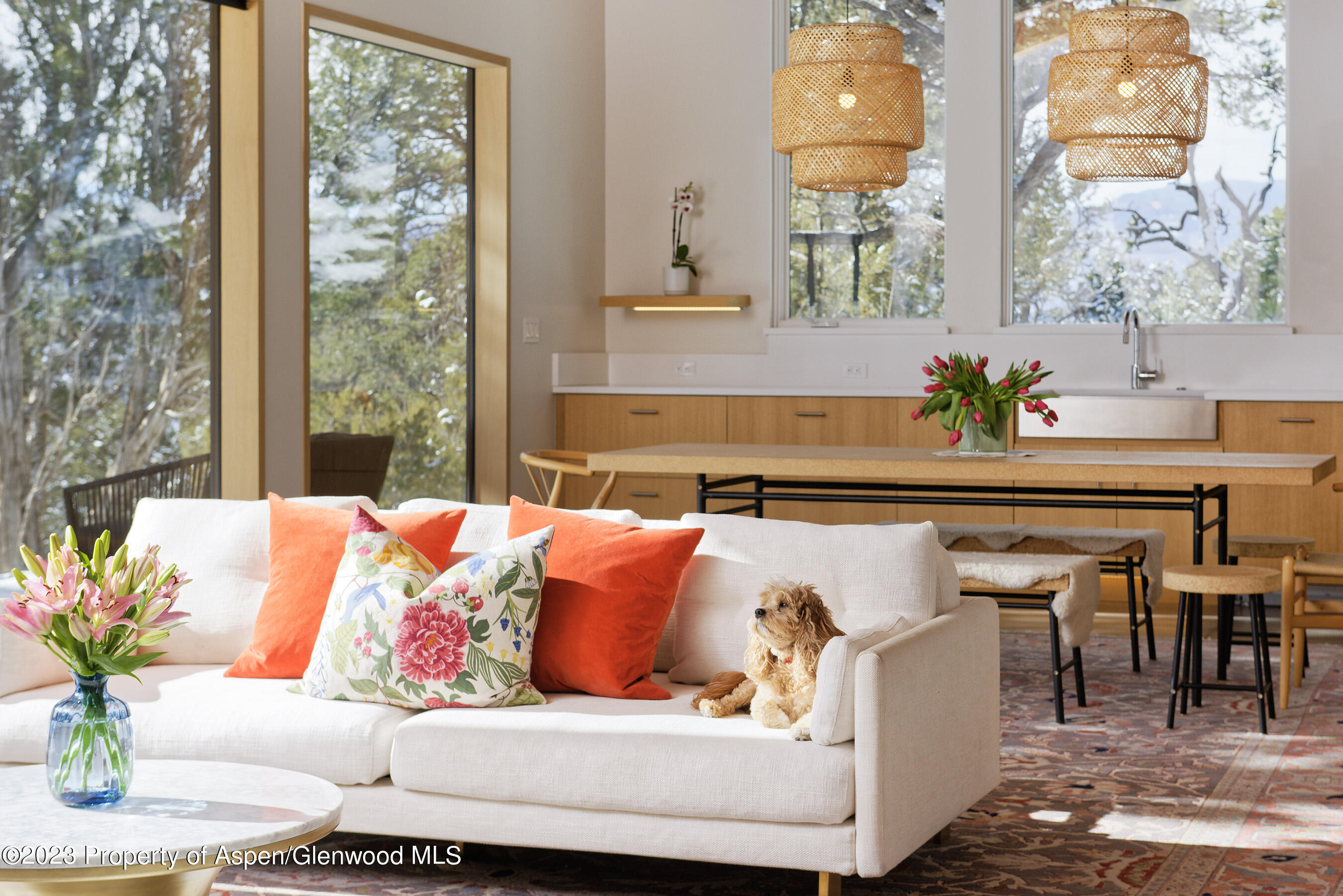 89 Sage Swale Road Carbondale, CO 81623 - Photo 5 of 23 a living room with furniture and a floor to ceiling window