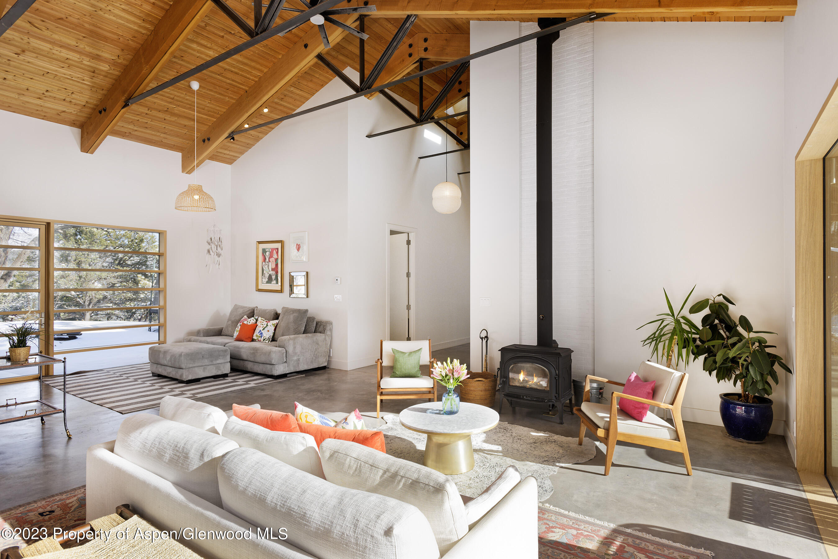 89 Sage Swale Road Carbondale, CO 81623 - Photo 10 of 23 a living room with furniture and a potted plant