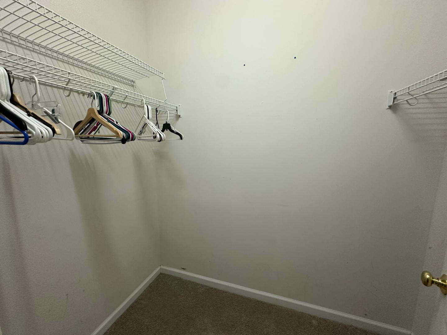 8251 Hempshire Place, Unit 104 Raleigh, NC 27613 - Photo 20 of 42 Photo #20