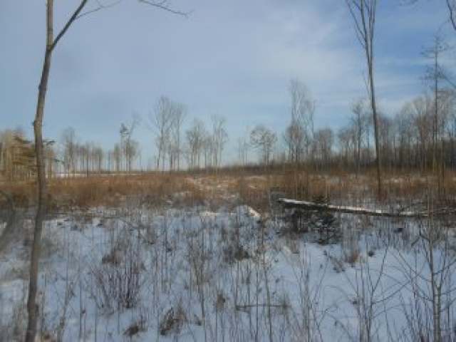N722 Westlin Road Ogema, WI 54459 - Photo 8 of 13 Gallery Image 8