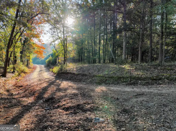 a view of outdoor space with trees