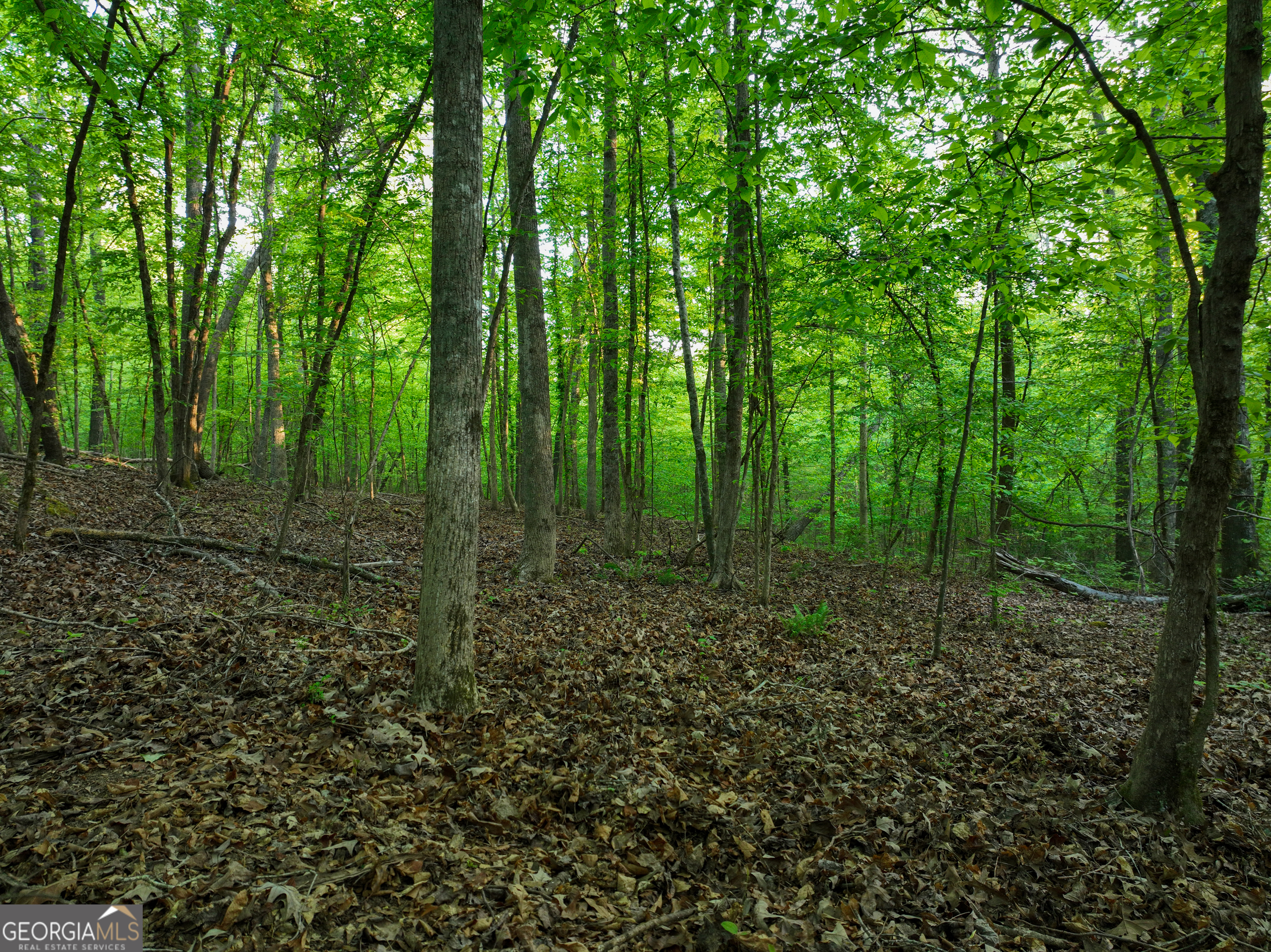 56 Ivey Circle Forsyth, GA 31029 - Photo 12 of 61 a view of outdoor space and green space