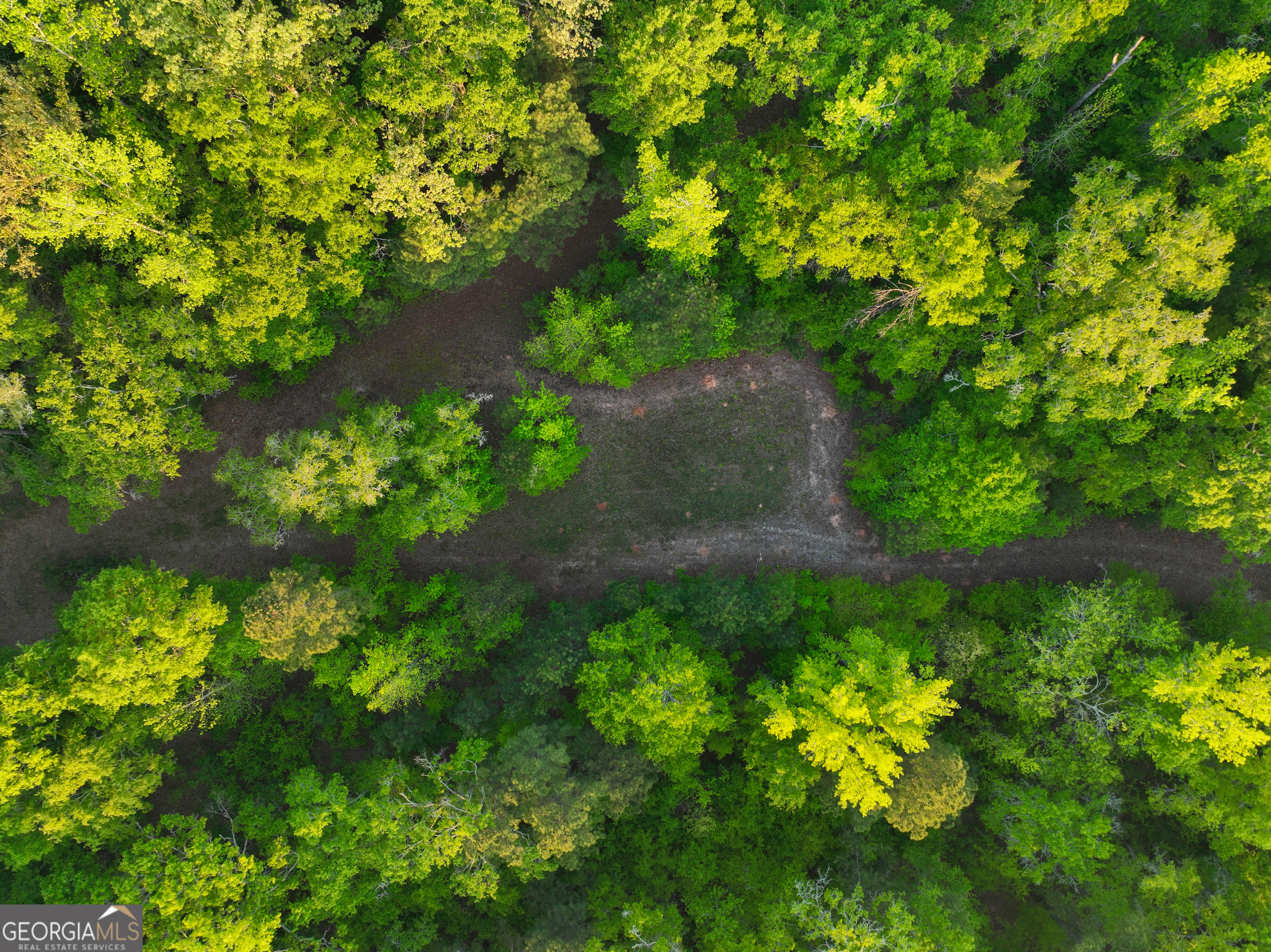 56 Ivey Circle Forsyth, GA 31029 - Photo 14 of 61