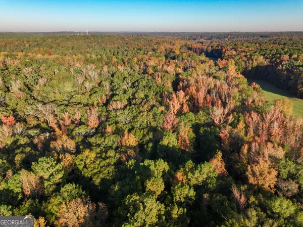 a big yard with lots of green space and trees