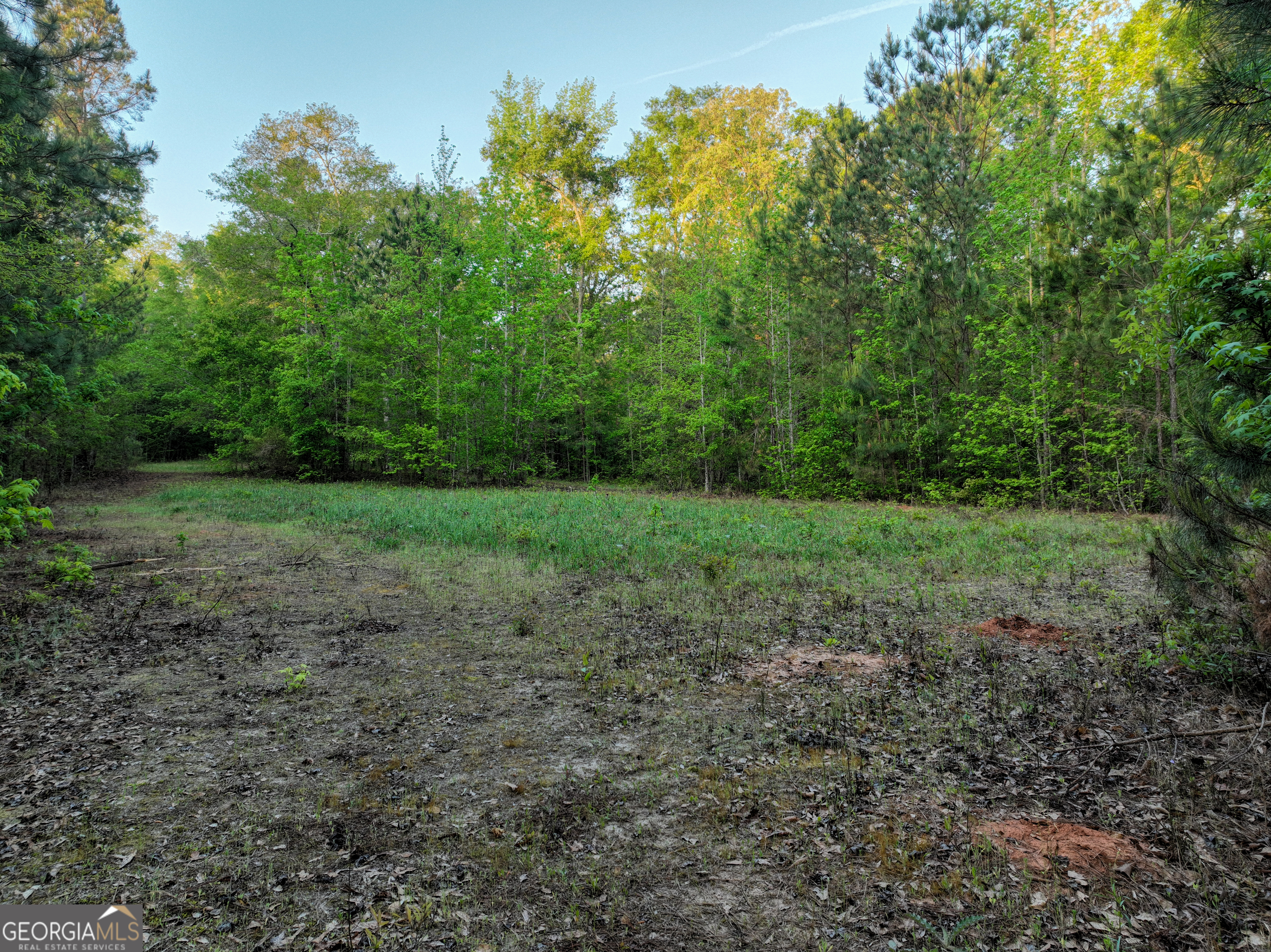 56 Ivey Circle Forsyth, GA 31029 - Photo 16 of 61 a view of a field with trees in the background