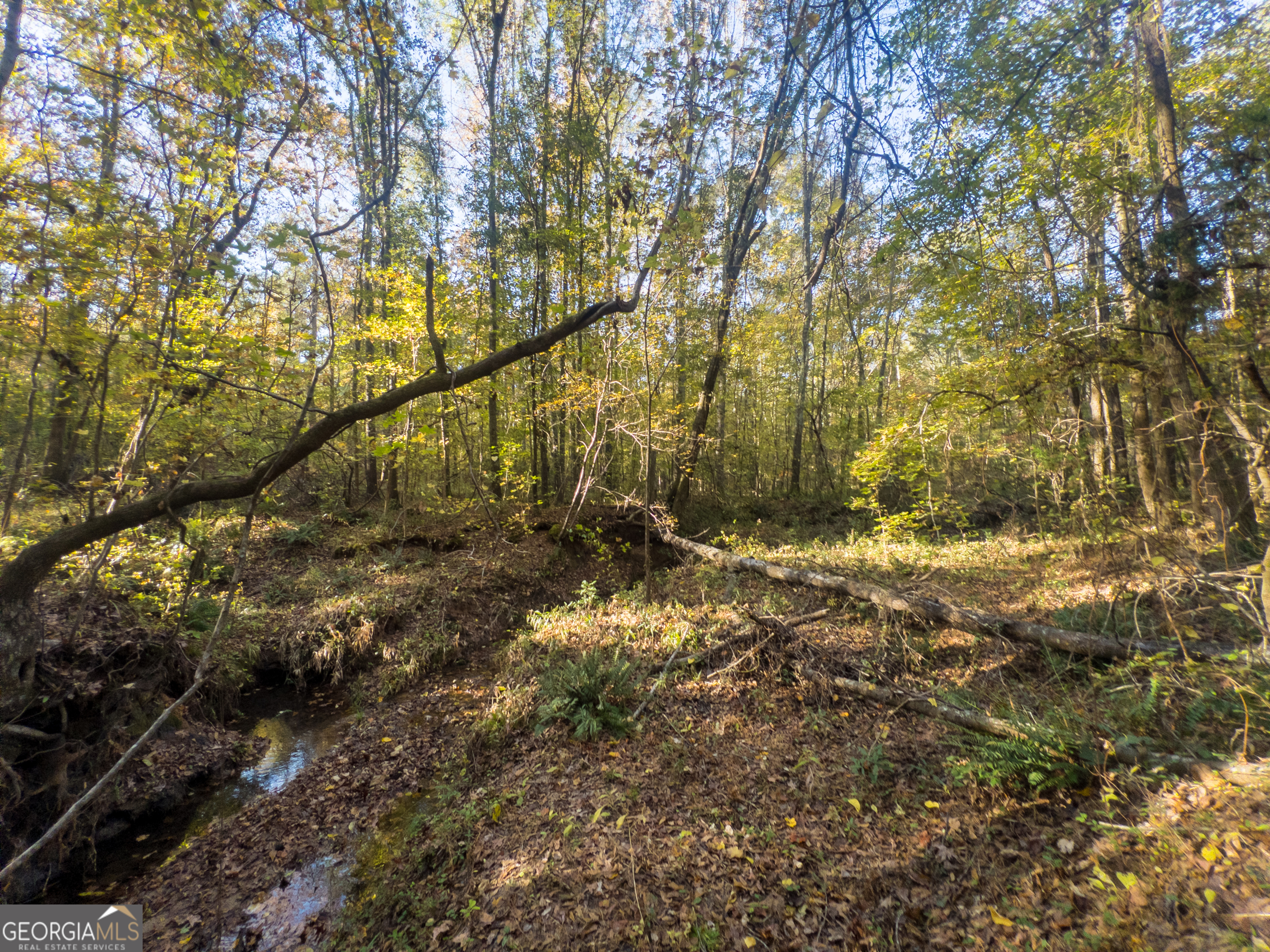 56 Ivey Circle Forsyth, GA 31029 - Photo 17 of 61
