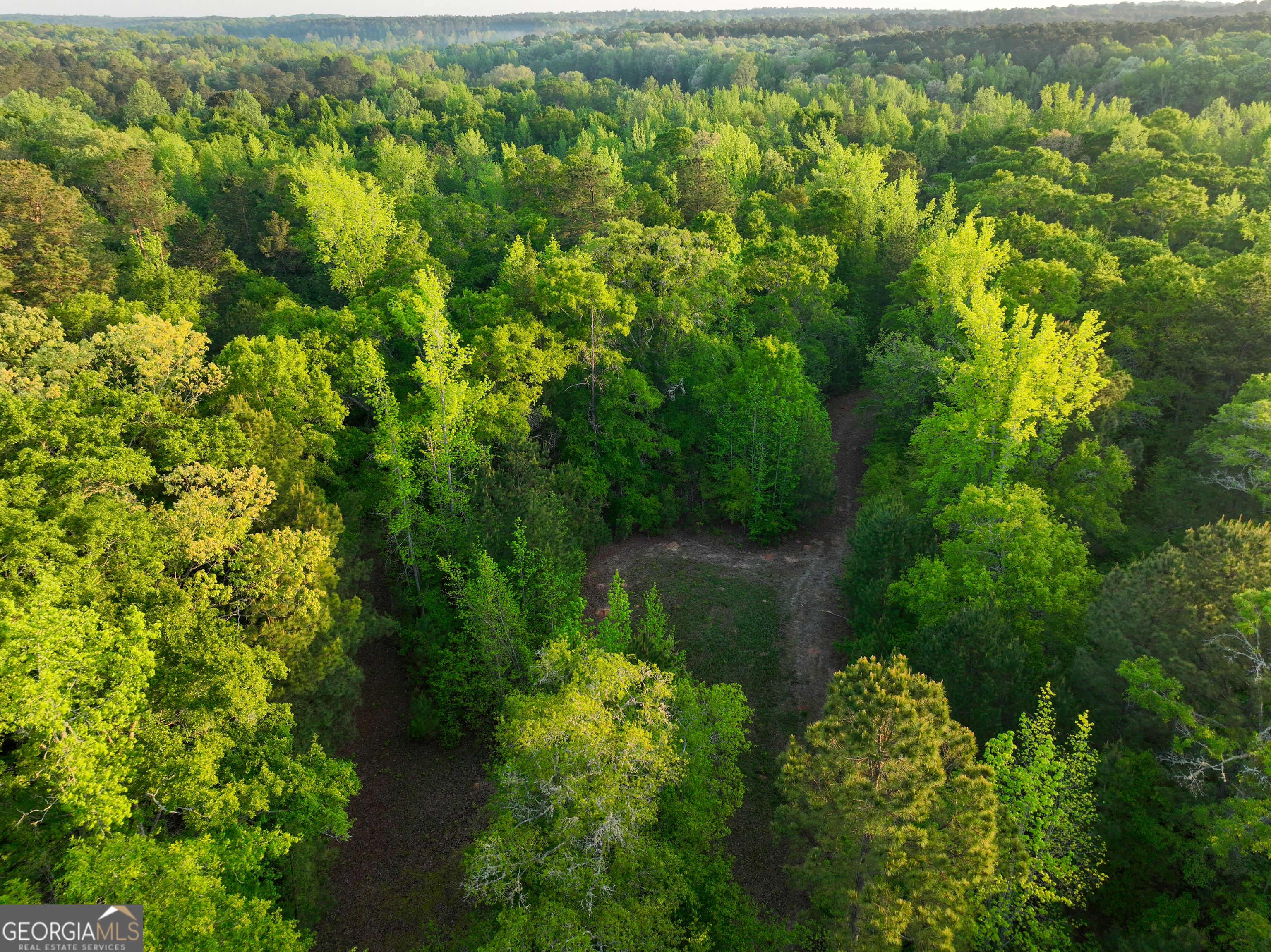 56 Ivey Circle Forsyth, GA 31029 - Photo 18 of 61 a view of a garden with a lake