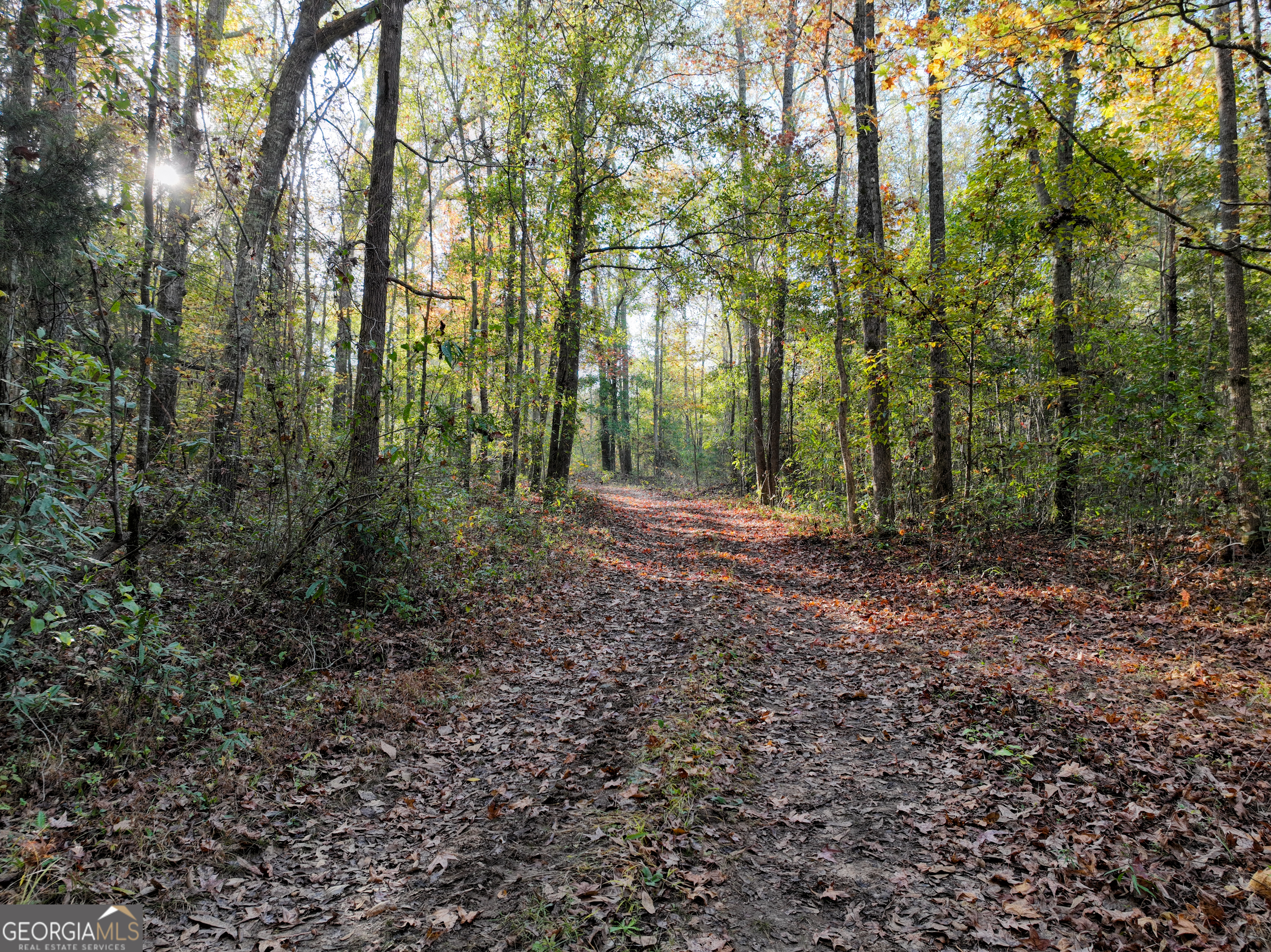 56 Ivey Circle Forsyth, GA 31029 - Photo 19 of 61 a view of outdoor space and trees