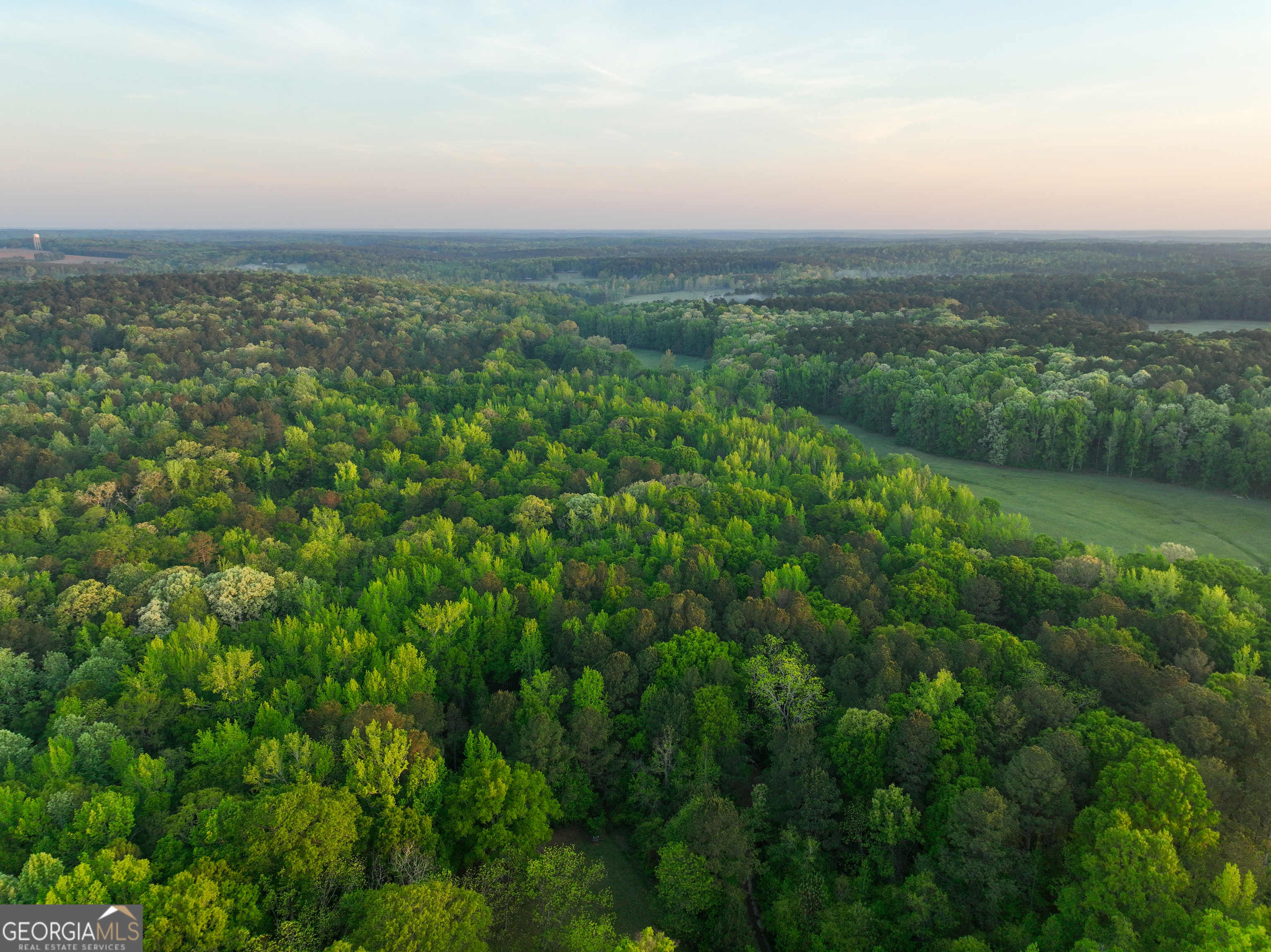 56 Ivey Circle Forsyth, GA 31029 - Photo 20 of 61 an aerial view of residential houses with outdoor and green space
