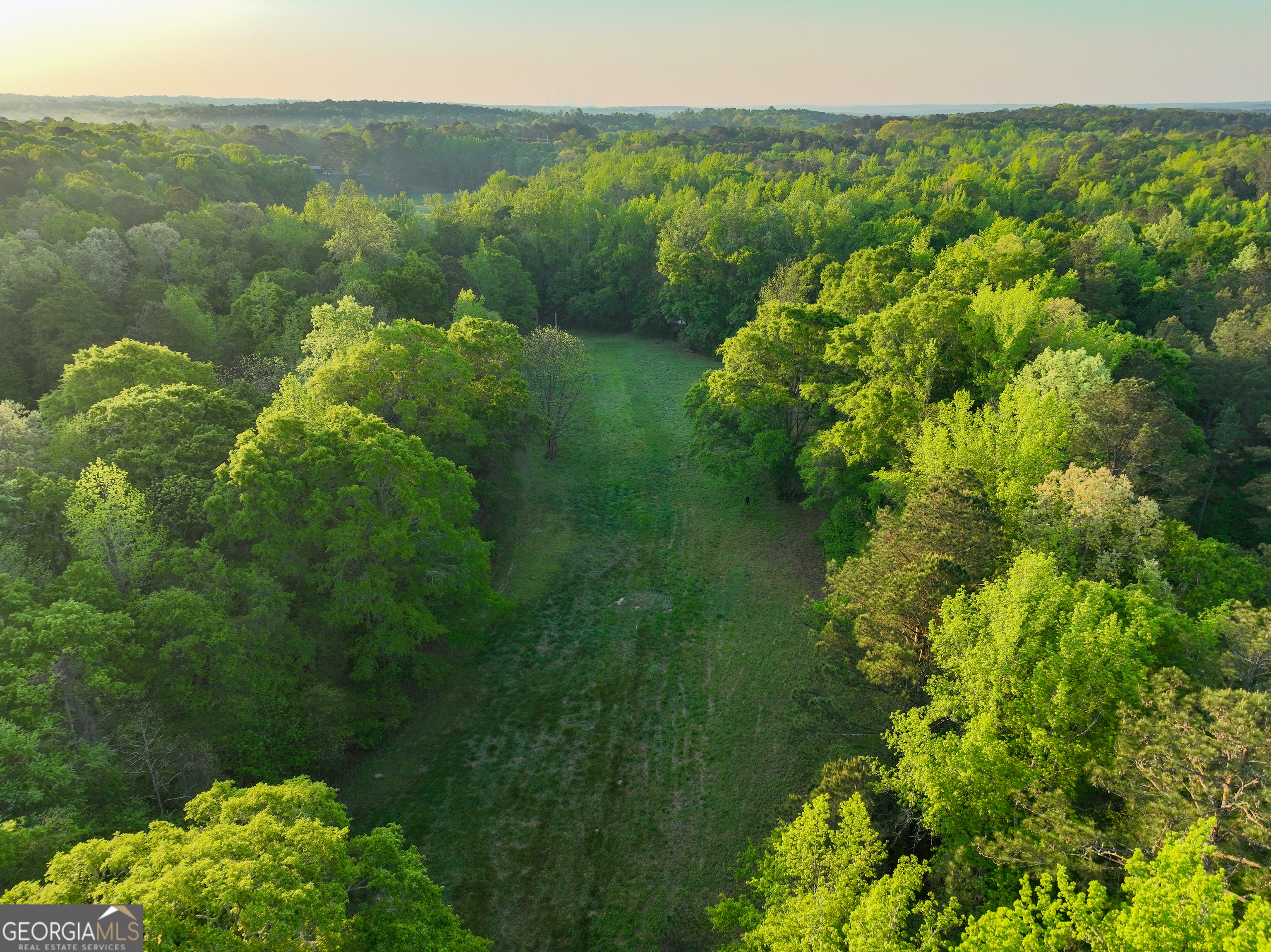 56 Ivey Circle Forsyth, GA 31029 - Photo 2 of 61