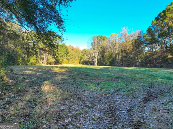 a view of a yard with plants and trees