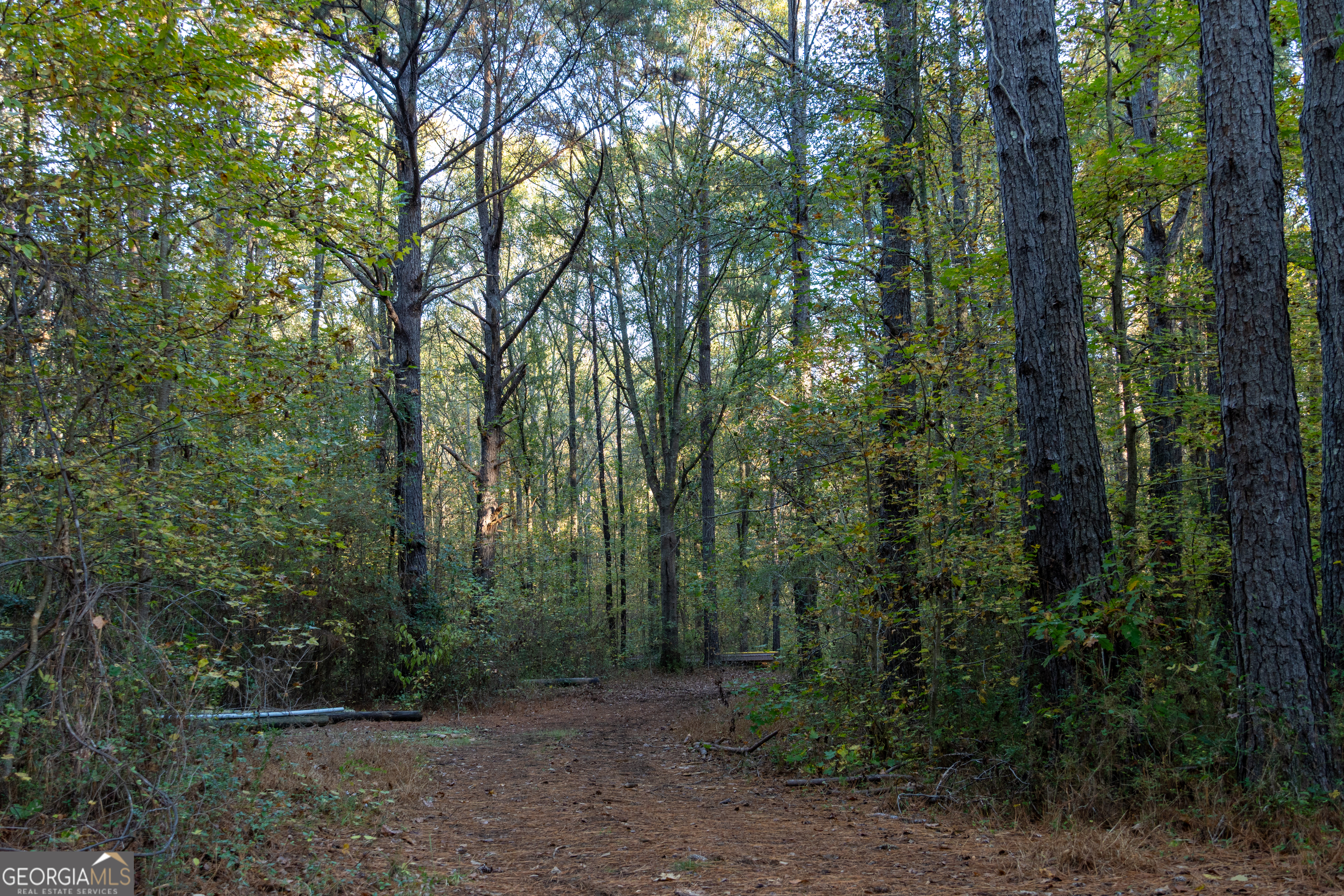 56 Ivey Circle Forsyth, GA 31029 - Photo 21 of 61 a view of a forest with trees in the background