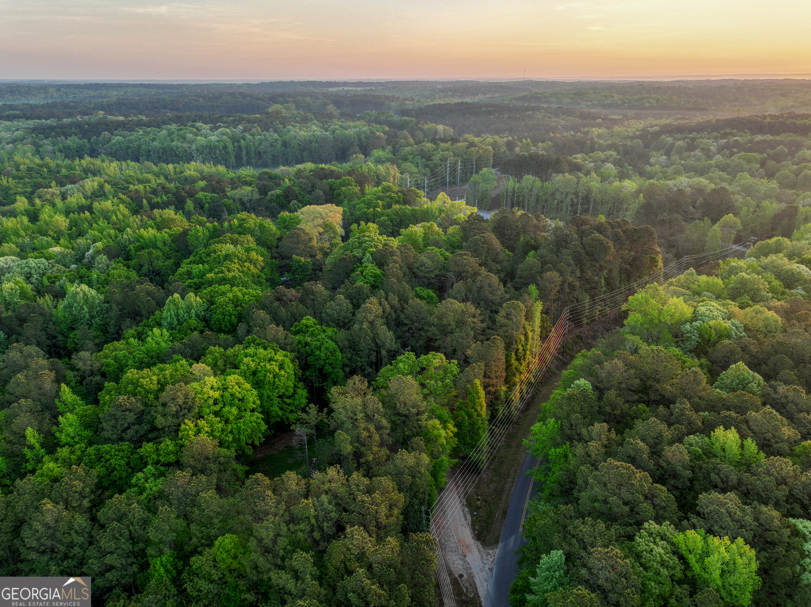 56 Ivey Circle Forsyth, GA 31029 - Photo 22 of 61 an aerial view of residential houses with outdoor space and trees