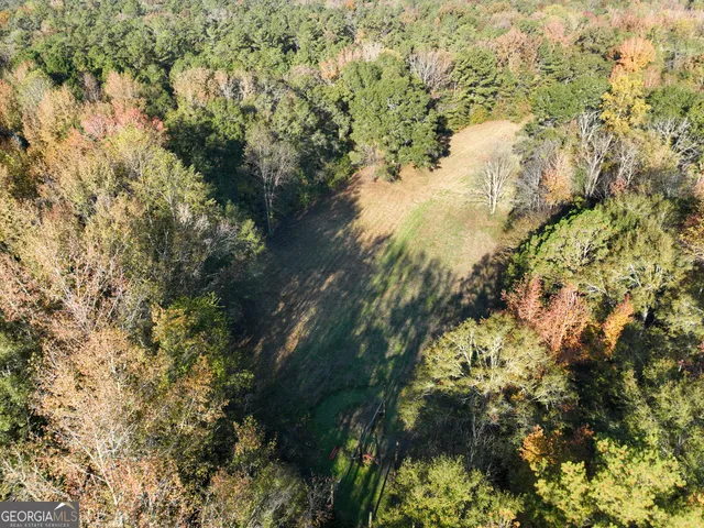a view of a forest with trees