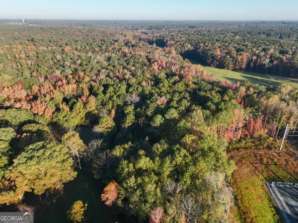 a view of a forest with trees