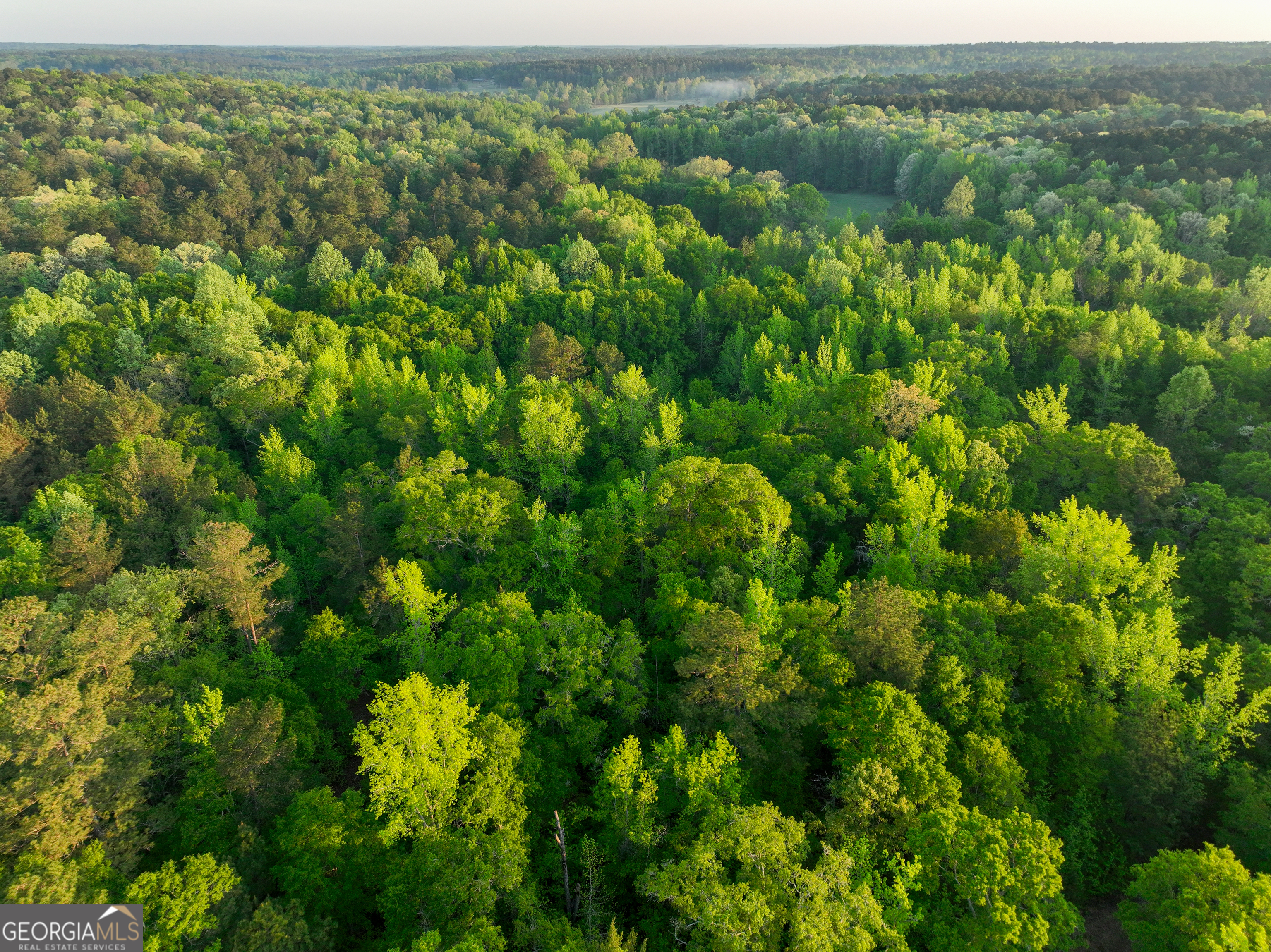 56 Ivey Circle Forsyth, GA 31029 - Photo 26 of 61