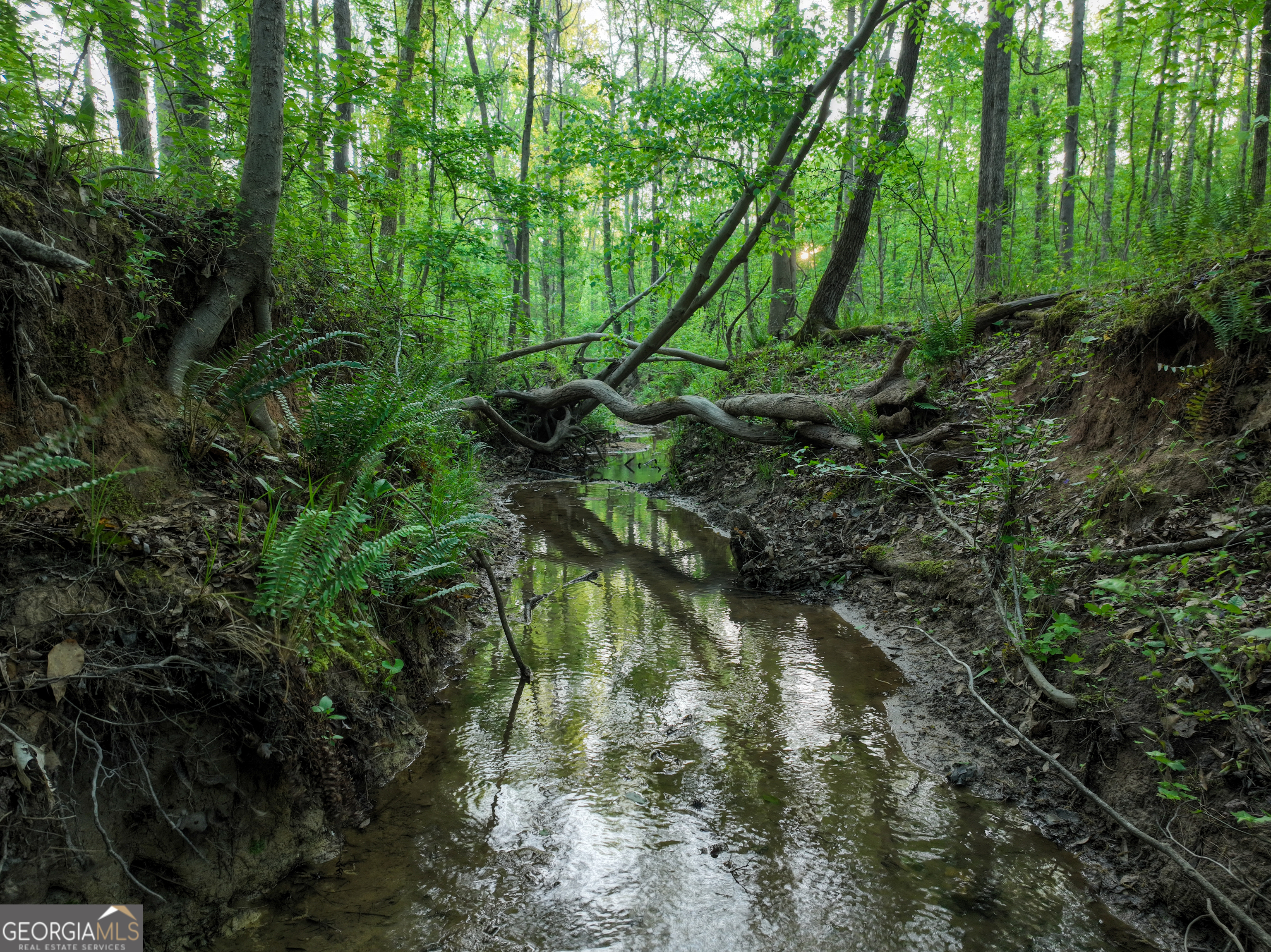 56 Ivey Circle Forsyth, GA 31029 - Photo 28 of 61