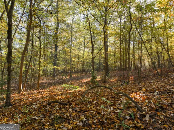 $600,000 | 56 Ivey Circle, Forsyth, GA 31029