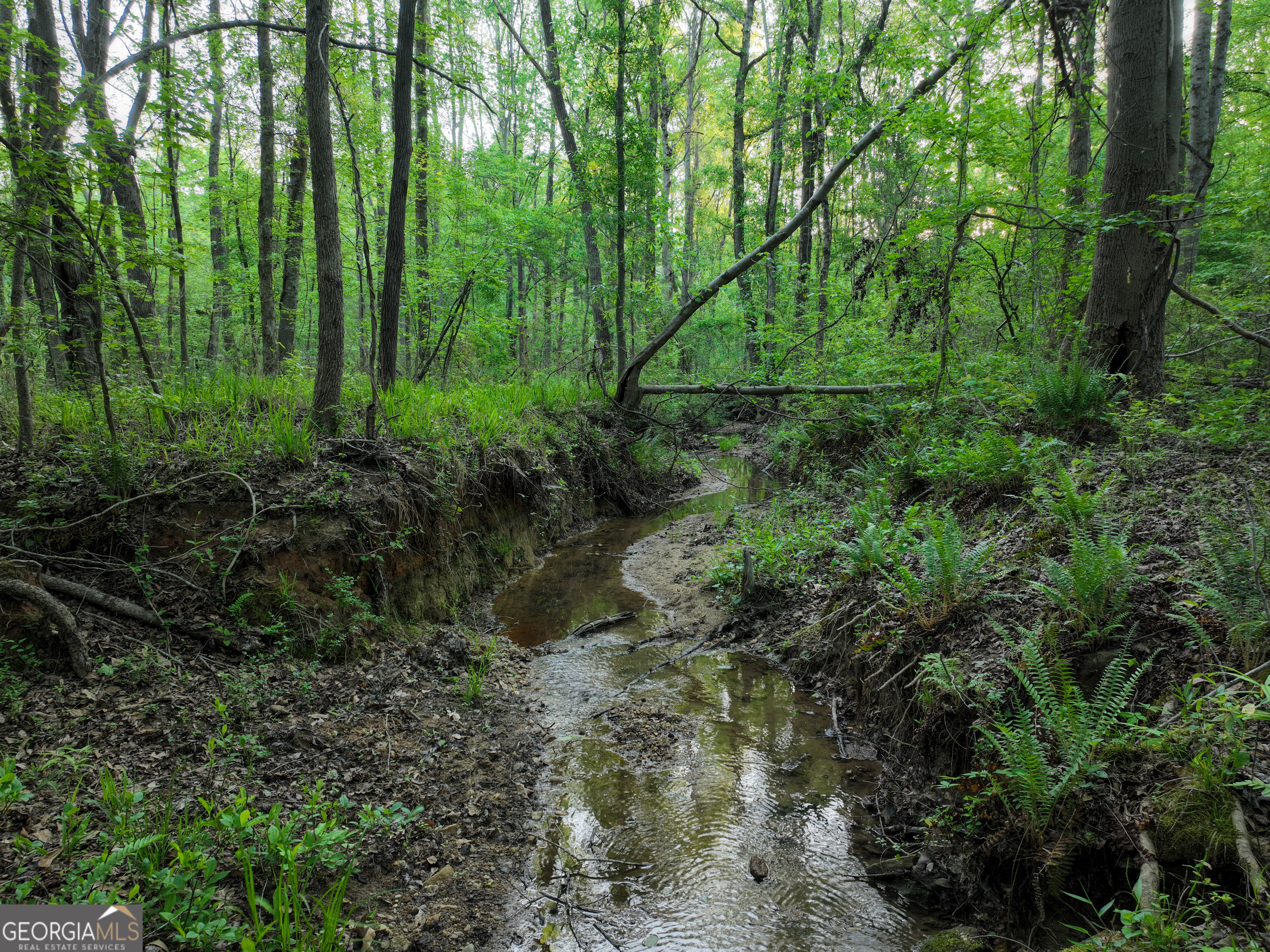 56 Ivey Circle Forsyth, GA 31029 - Photo 30 of 61