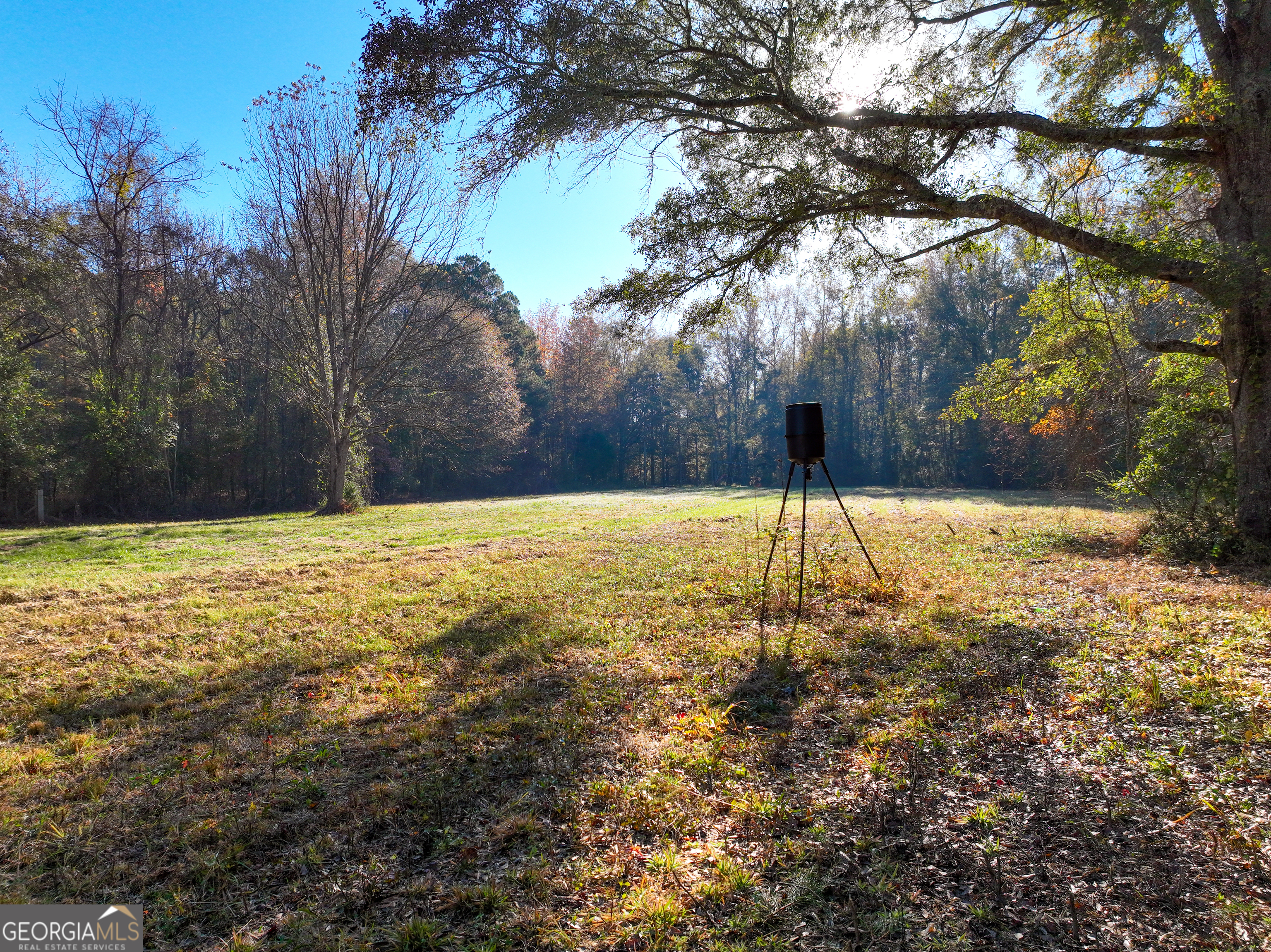 56 Ivey Circle Forsyth, GA 31029 - Photo 3 of 61
