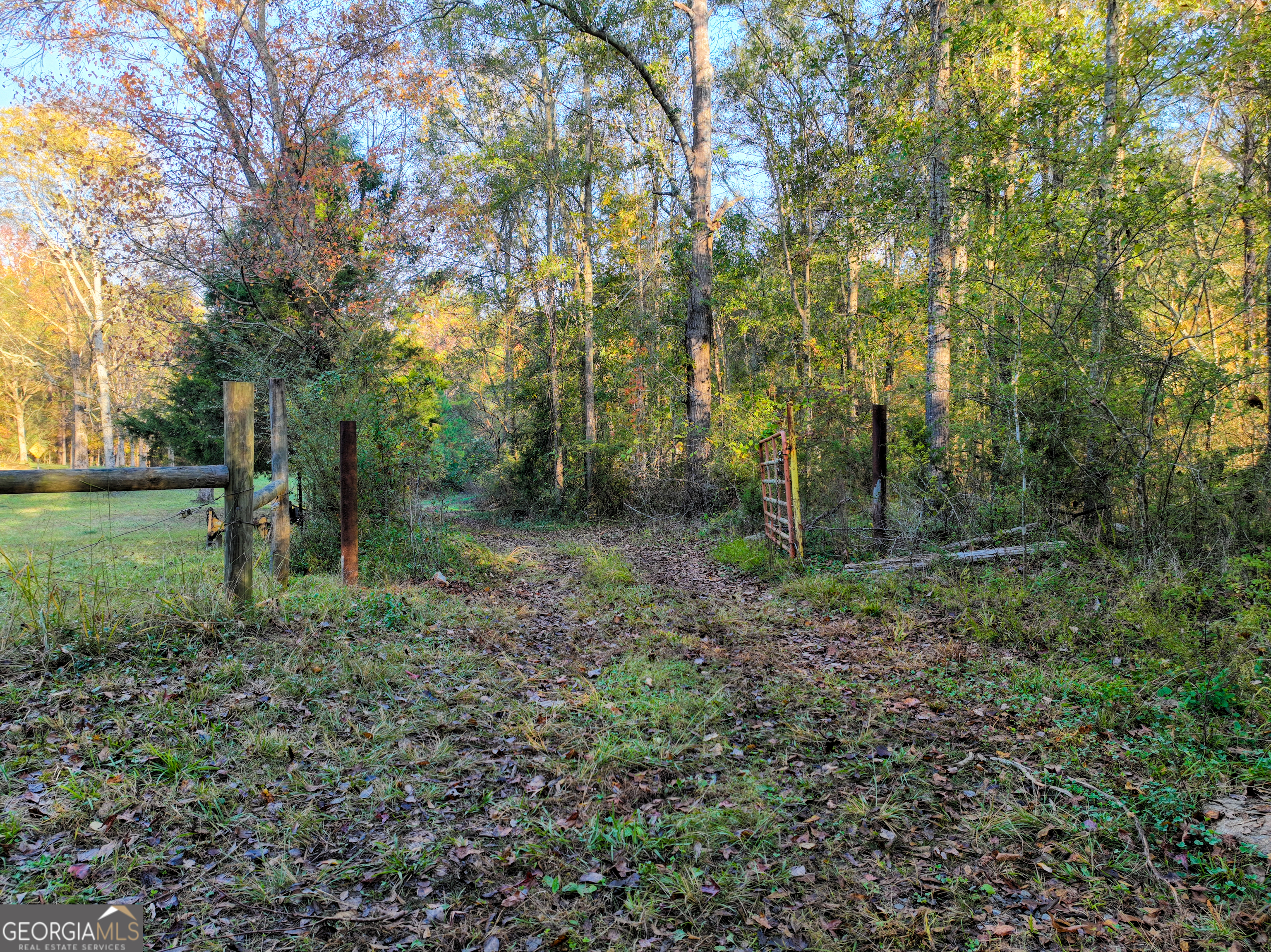 56 Ivey Circle Forsyth, GA 31029 - Photo 35 of 61 a big yard with lots of green space and trees