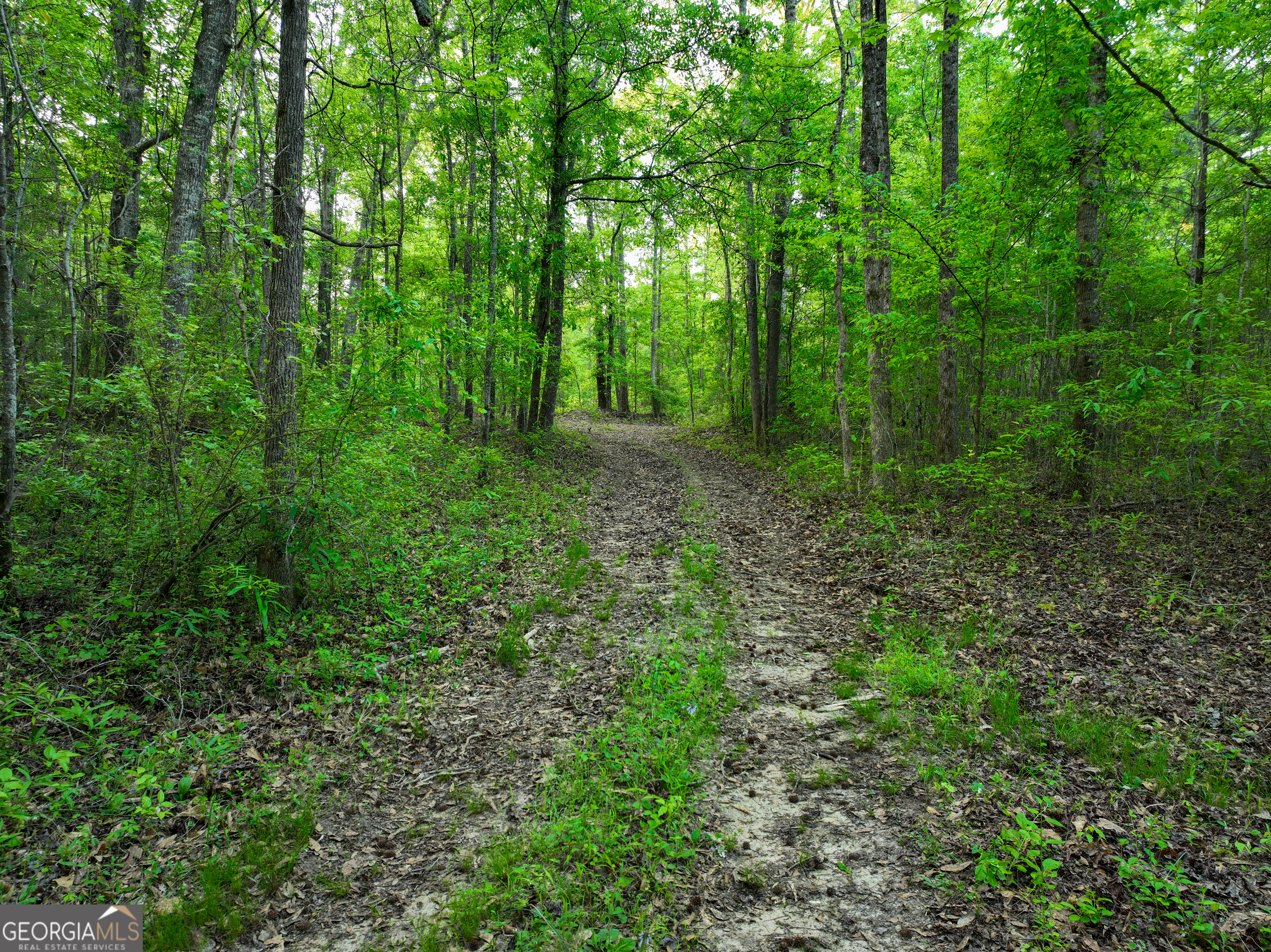56 Ivey Circle Forsyth, GA 31029 - Photo 38 of 61