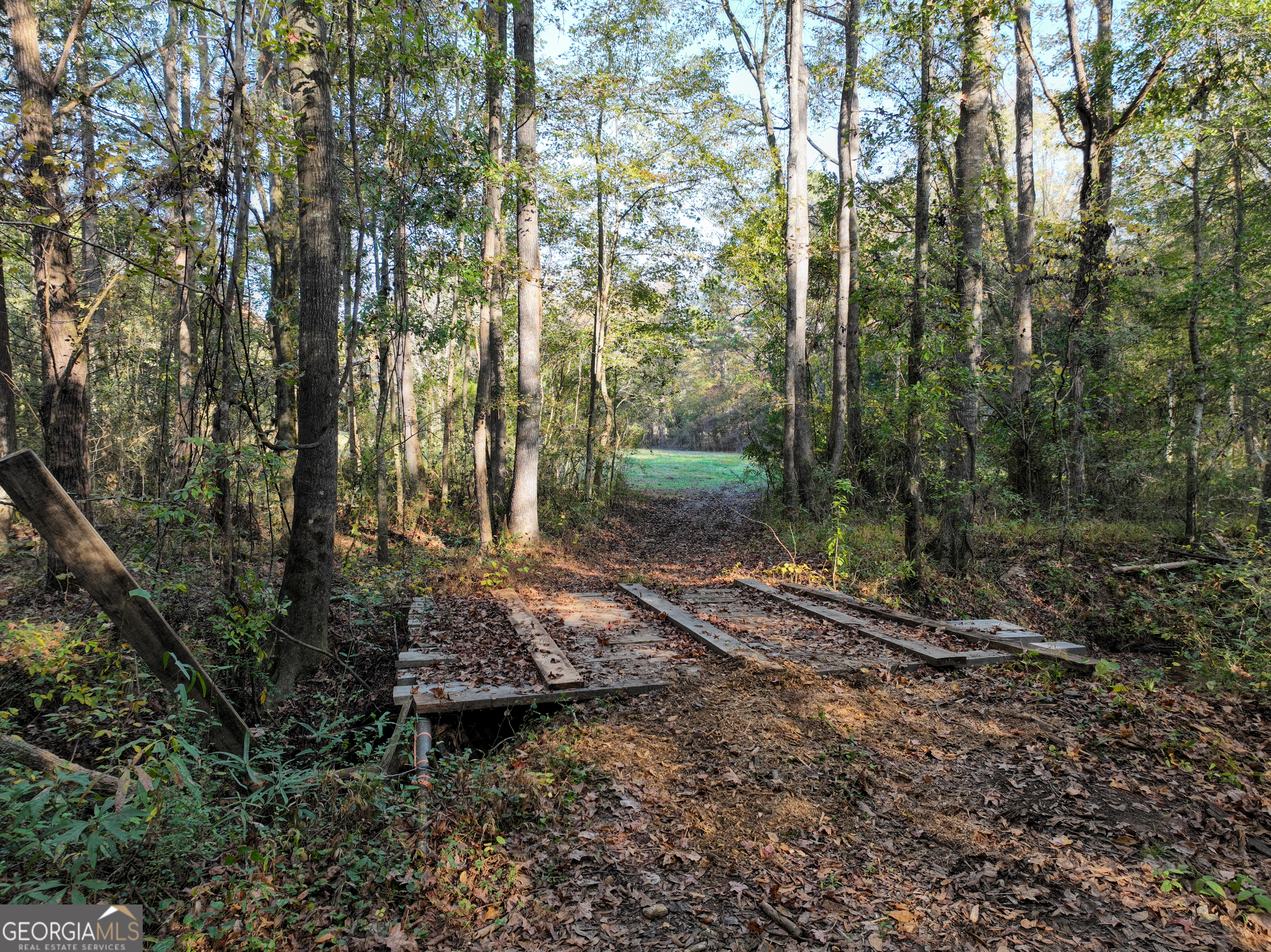 56 Ivey Circle Forsyth, GA 31029 - Photo 39 of 61 a view of a forest with trees