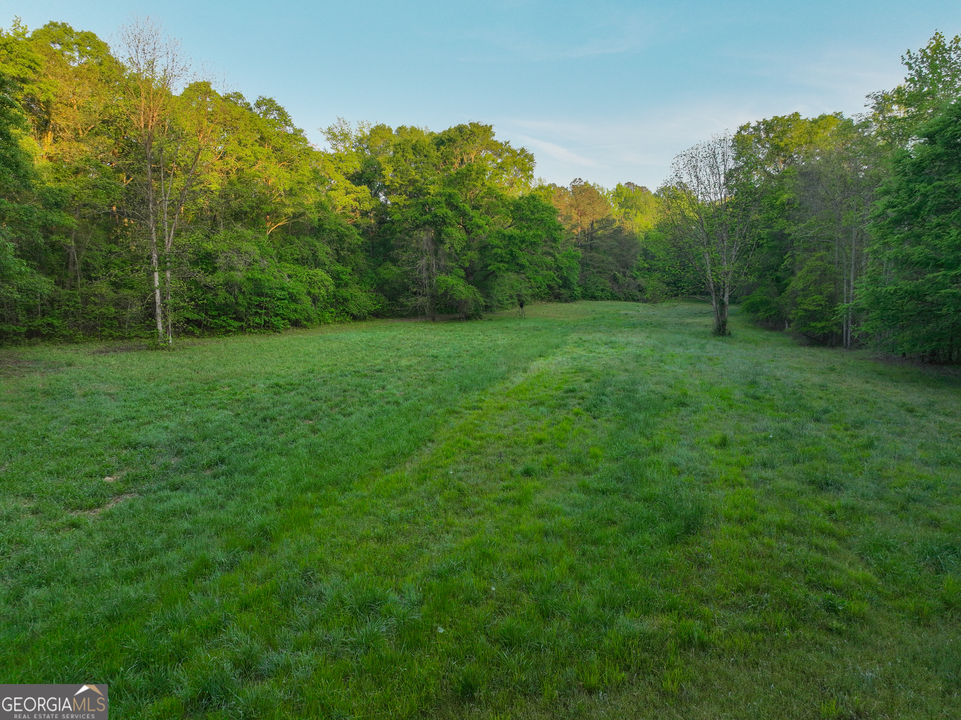 56 Ivey Circle Forsyth, GA 31029 - Photo 4 of 61 a view of a lush green space