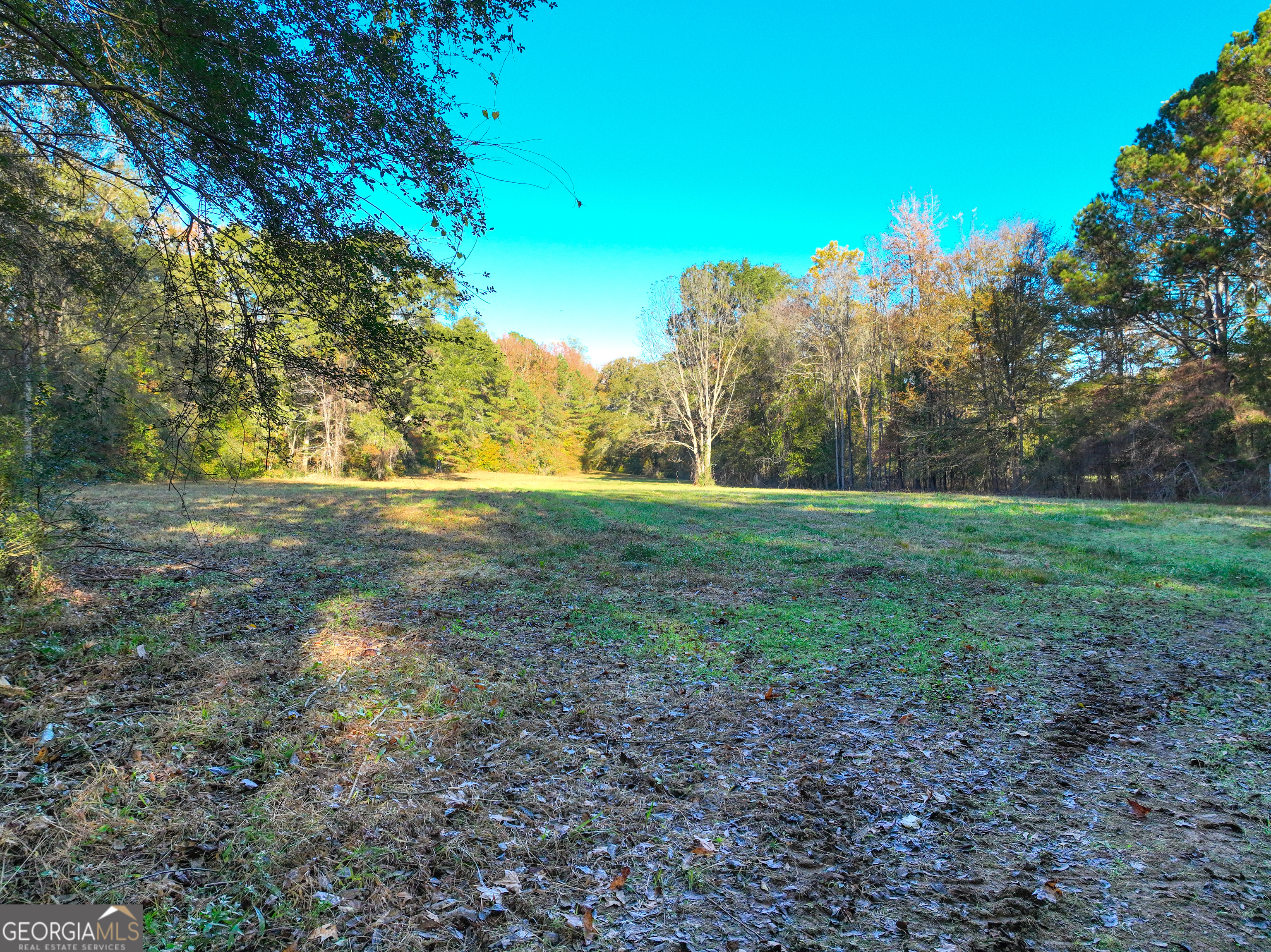 56 Ivey Circle Forsyth, GA 31029 - Photo 41 of 61 a view of a field with trees in the background