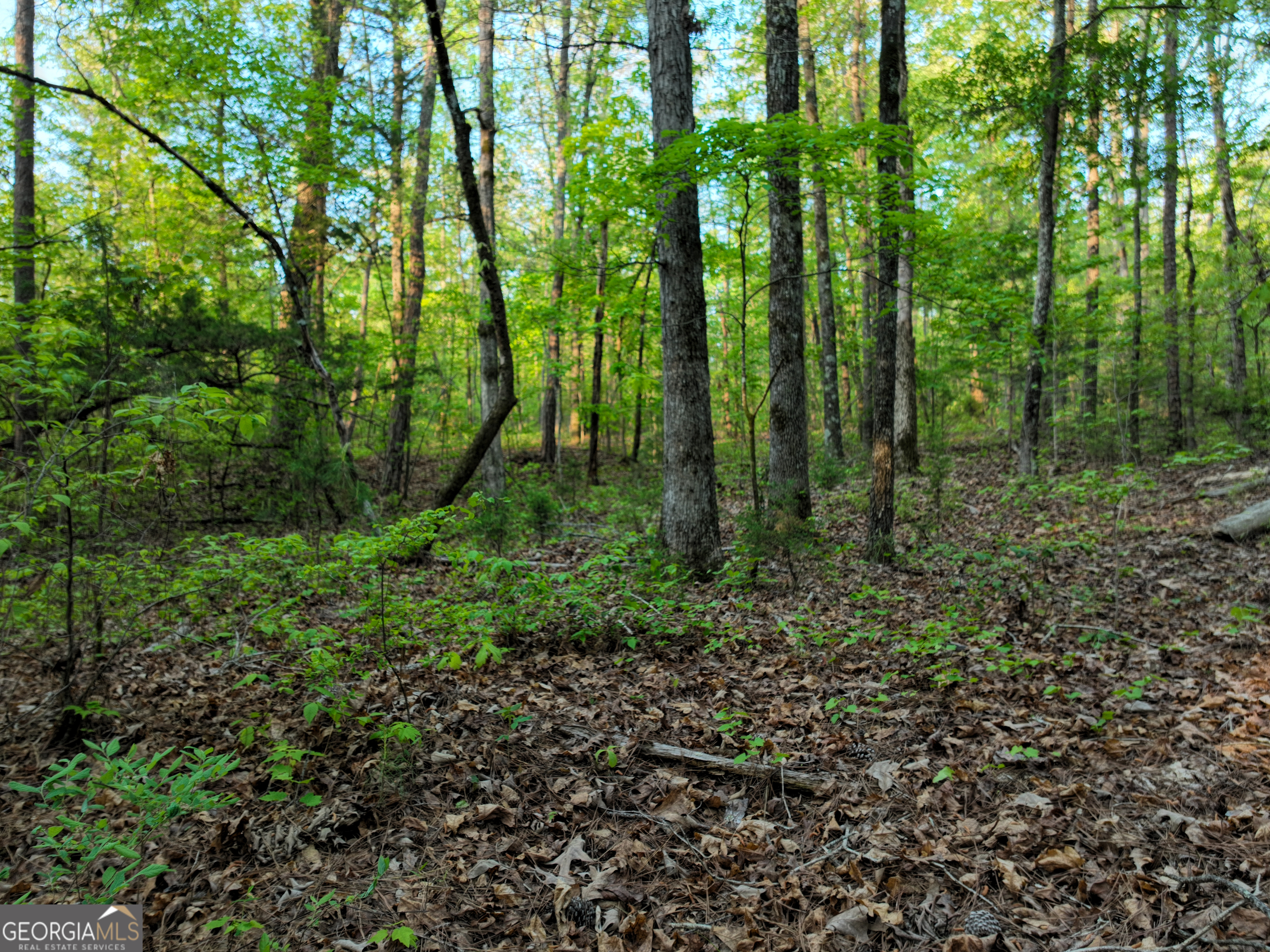 56 Ivey Circle Forsyth, GA 31029 - Photo 42 of 61