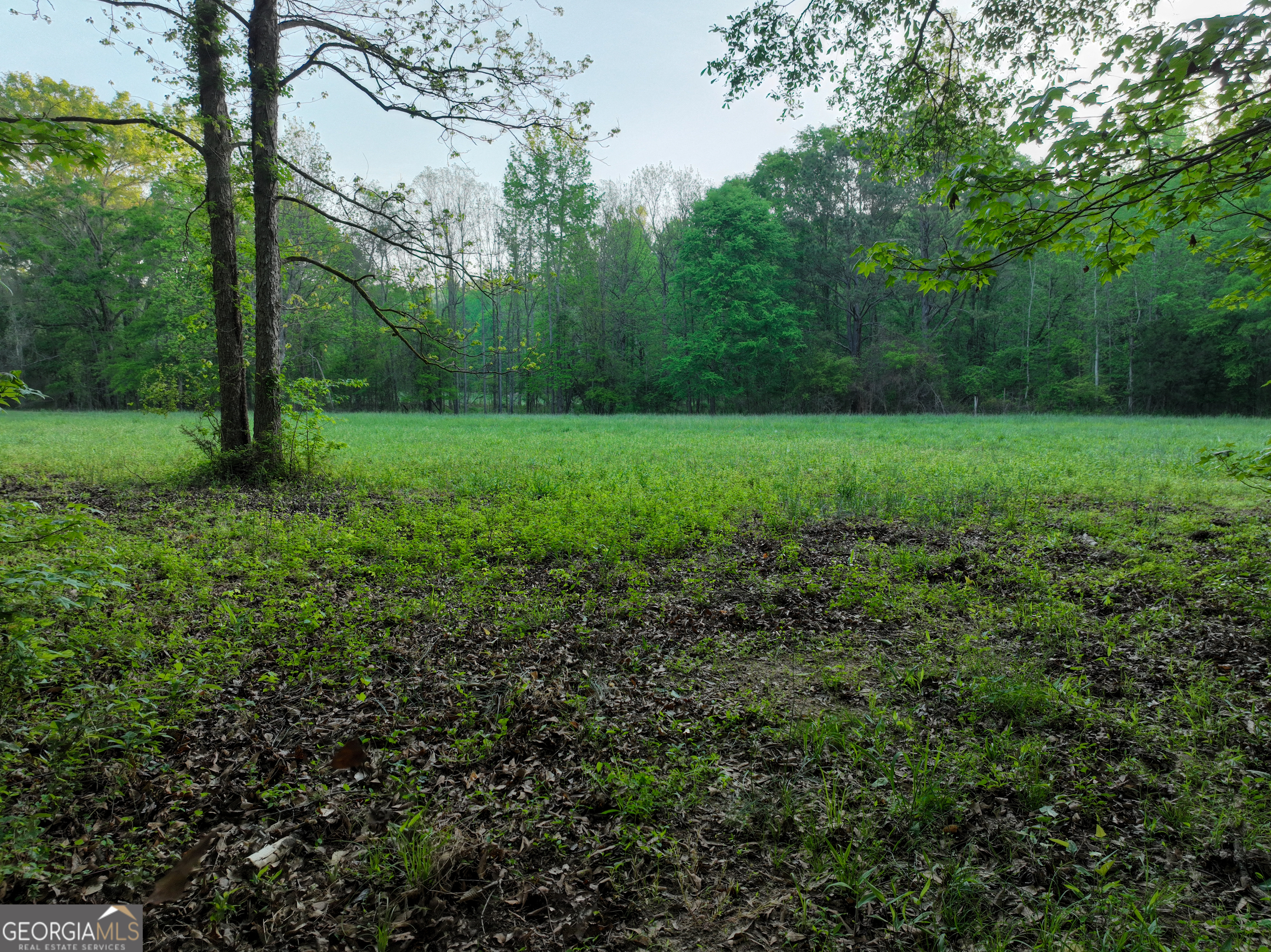 56 Ivey Circle Forsyth, GA 31029 - Photo 44 of 61 a view of a garden with trees
