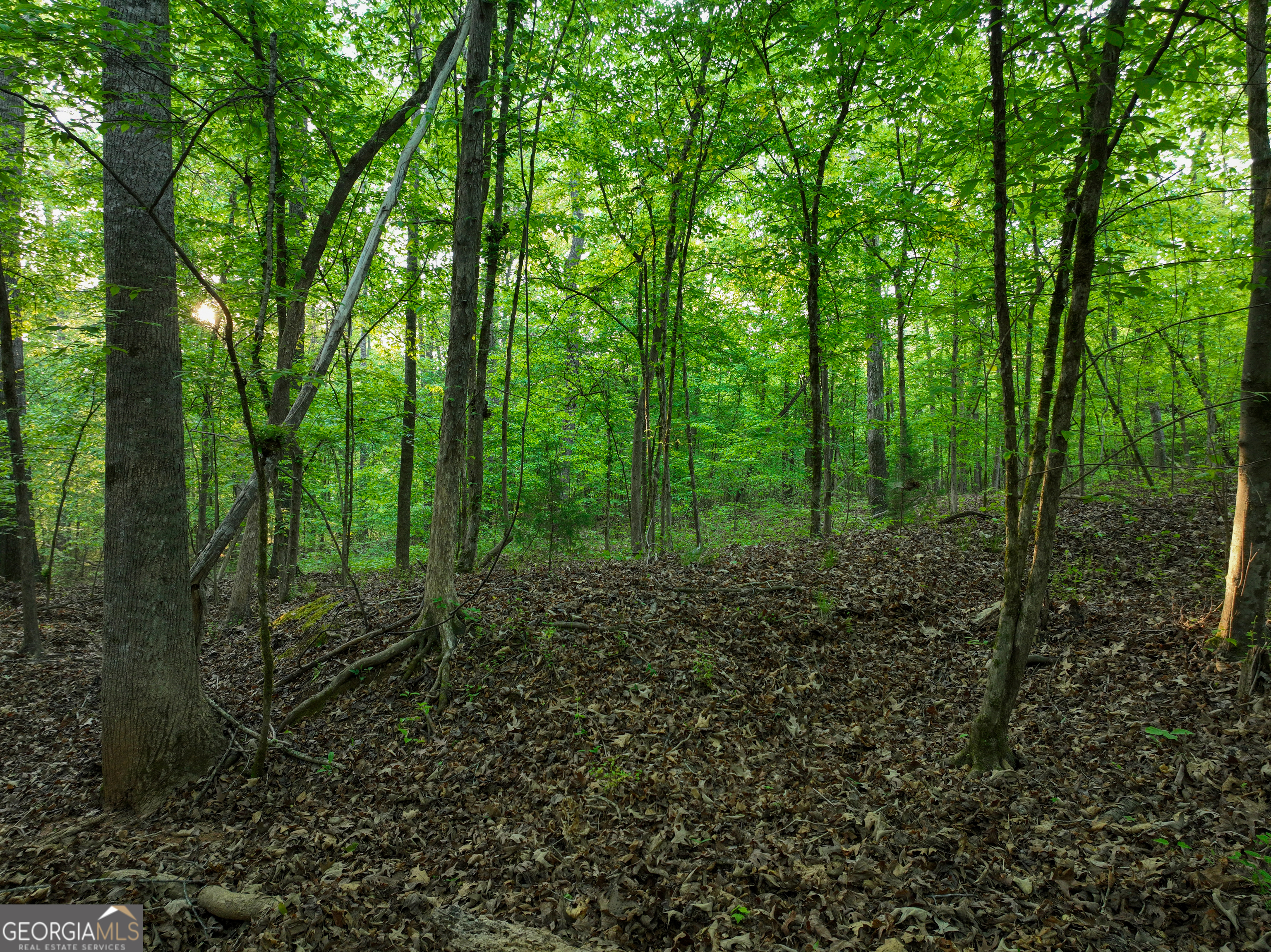 56 Ivey Circle Forsyth, GA 31029 - Photo 46 of 61