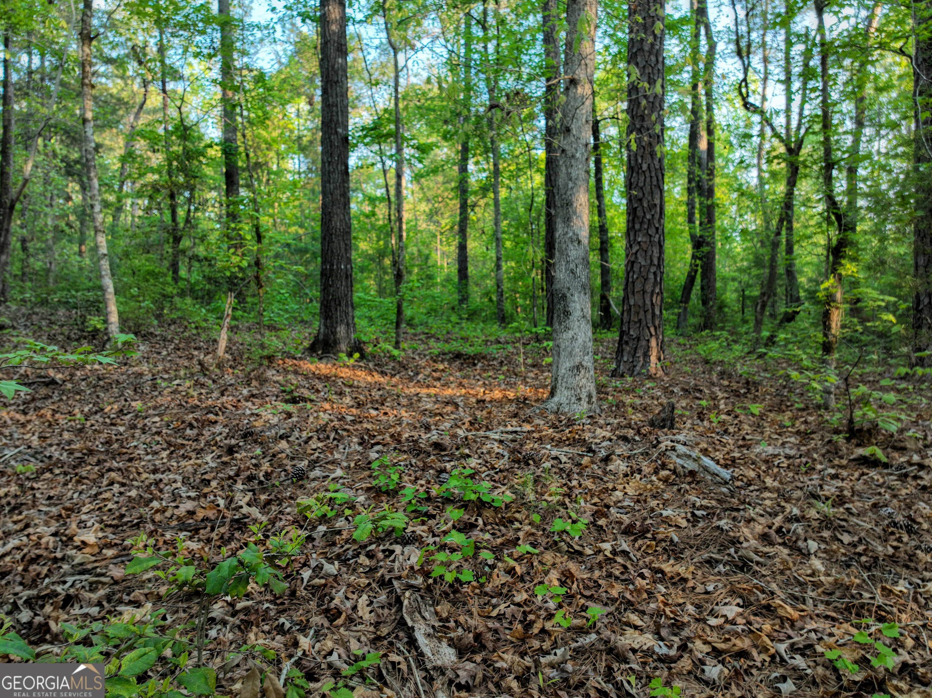 56 Ivey Circle Forsyth, GA 31029 - Photo 48 of 61