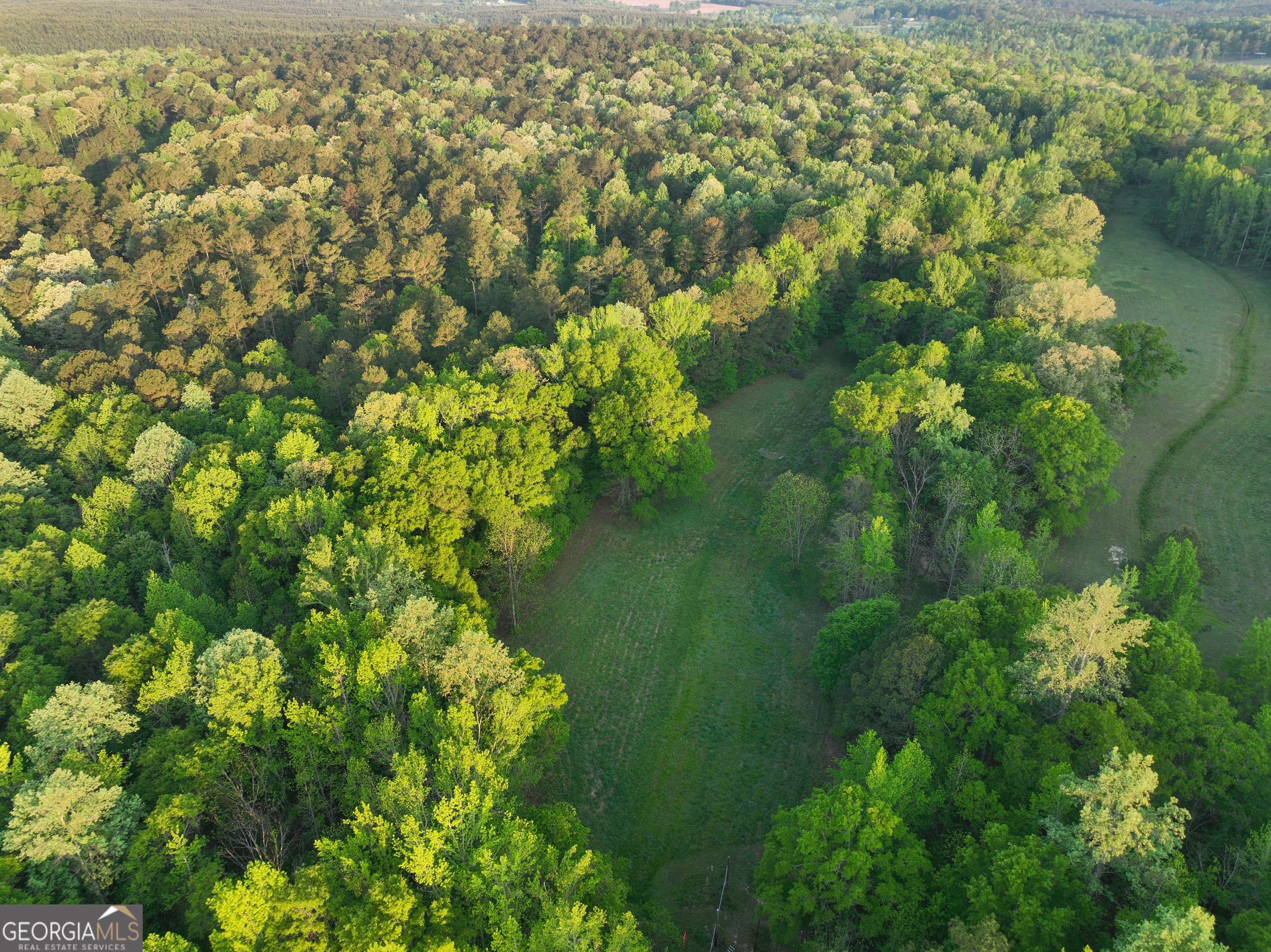 56 Ivey Circle Forsyth, GA 31029 - Photo 50 of 61