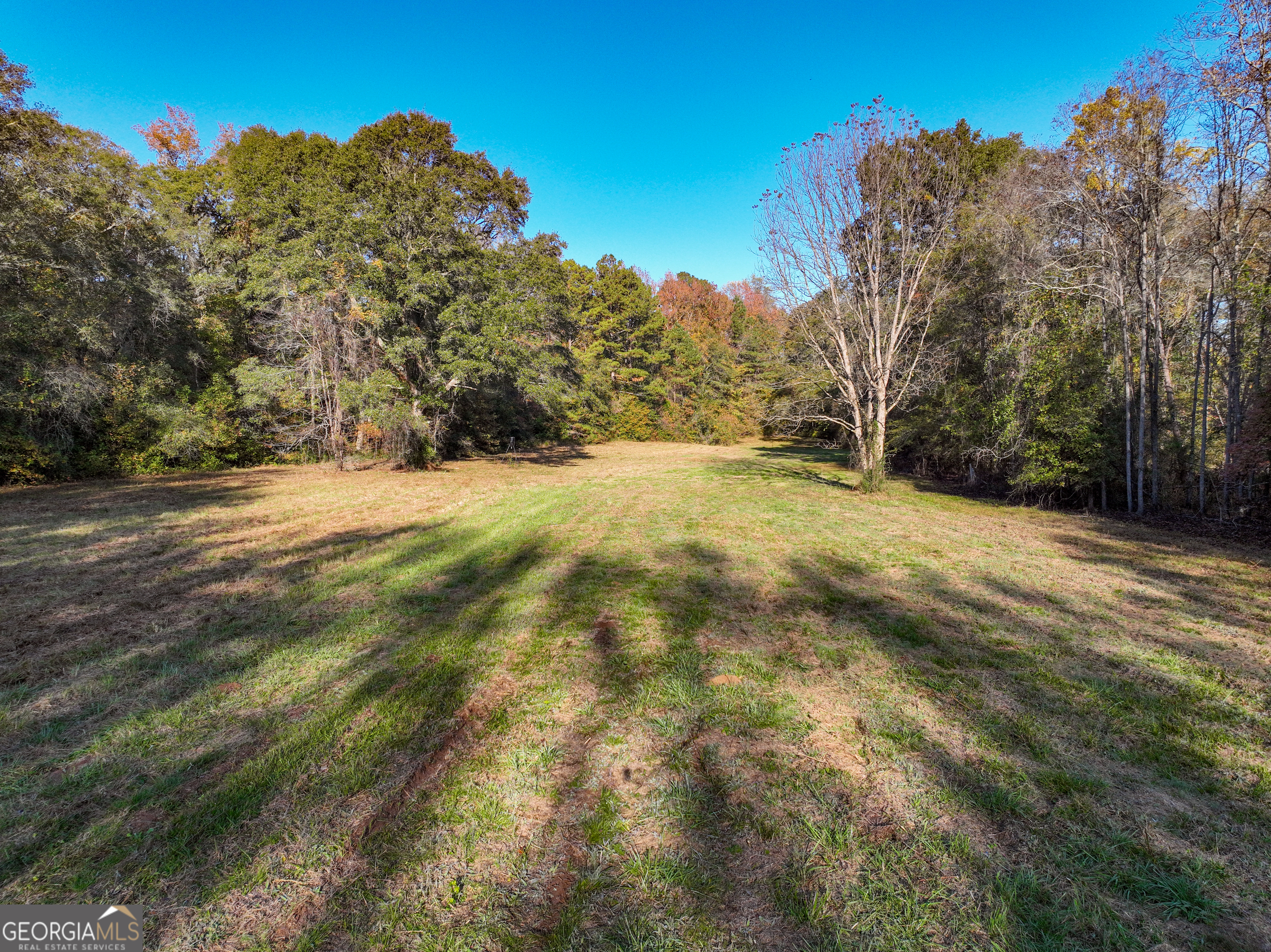 56 Ivey Circle Forsyth, GA 31029 - Photo 5 of 61 a view of a yard with trees in the background