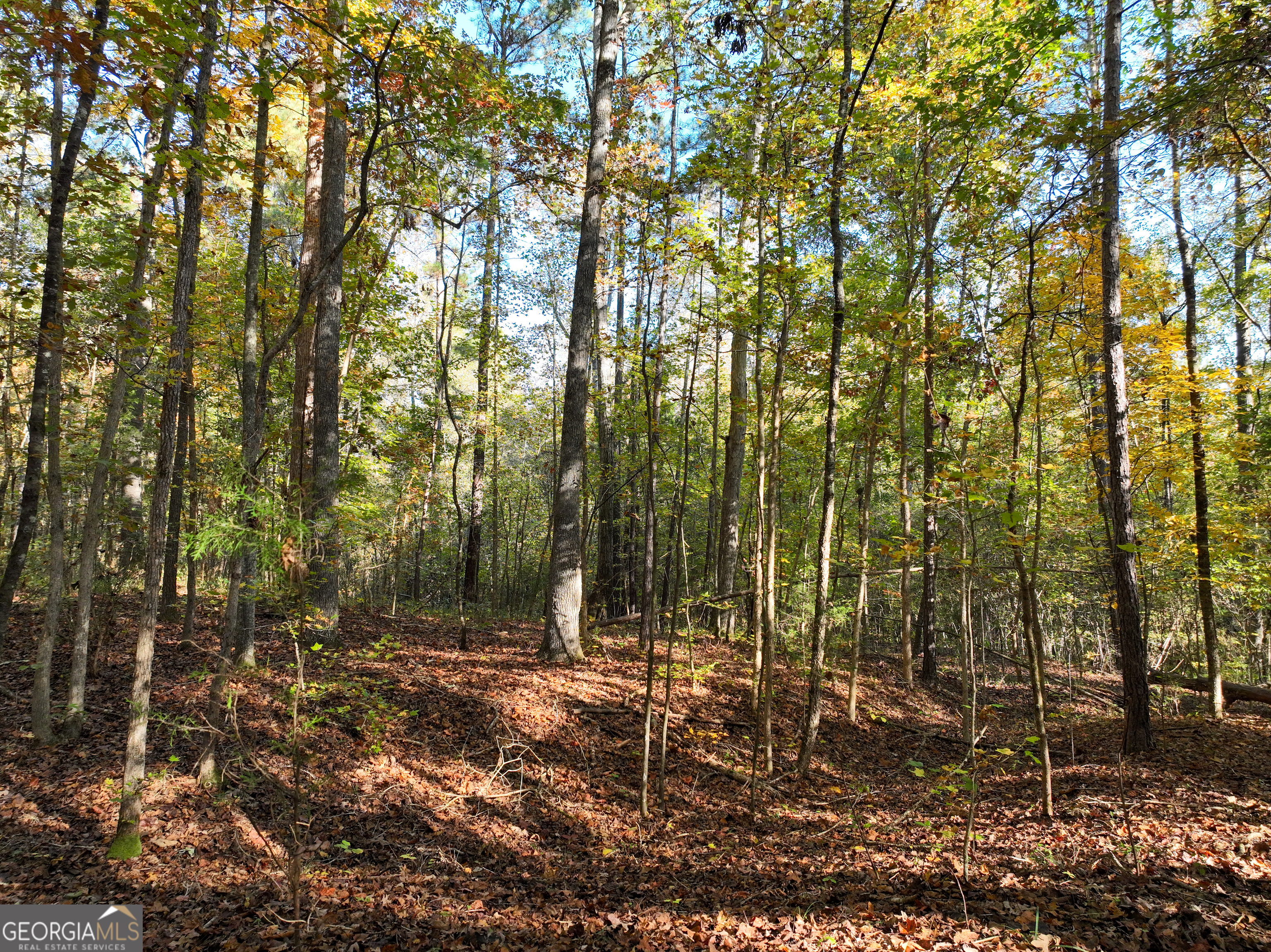 56 Ivey Circle Forsyth, GA 31029 - Photo 51 of 61 a view of outdoor space and yard